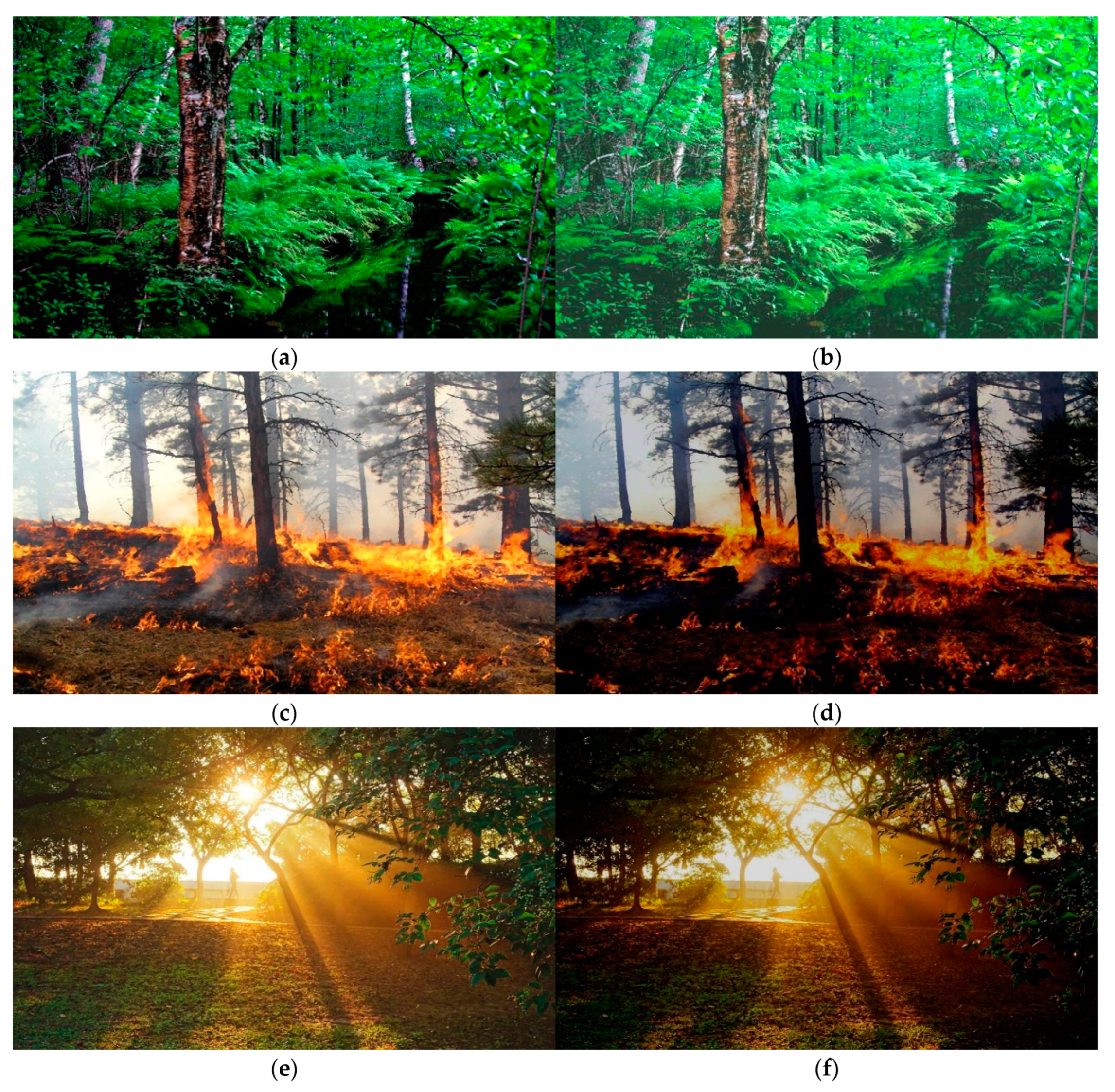 Forests 13 01302 g005