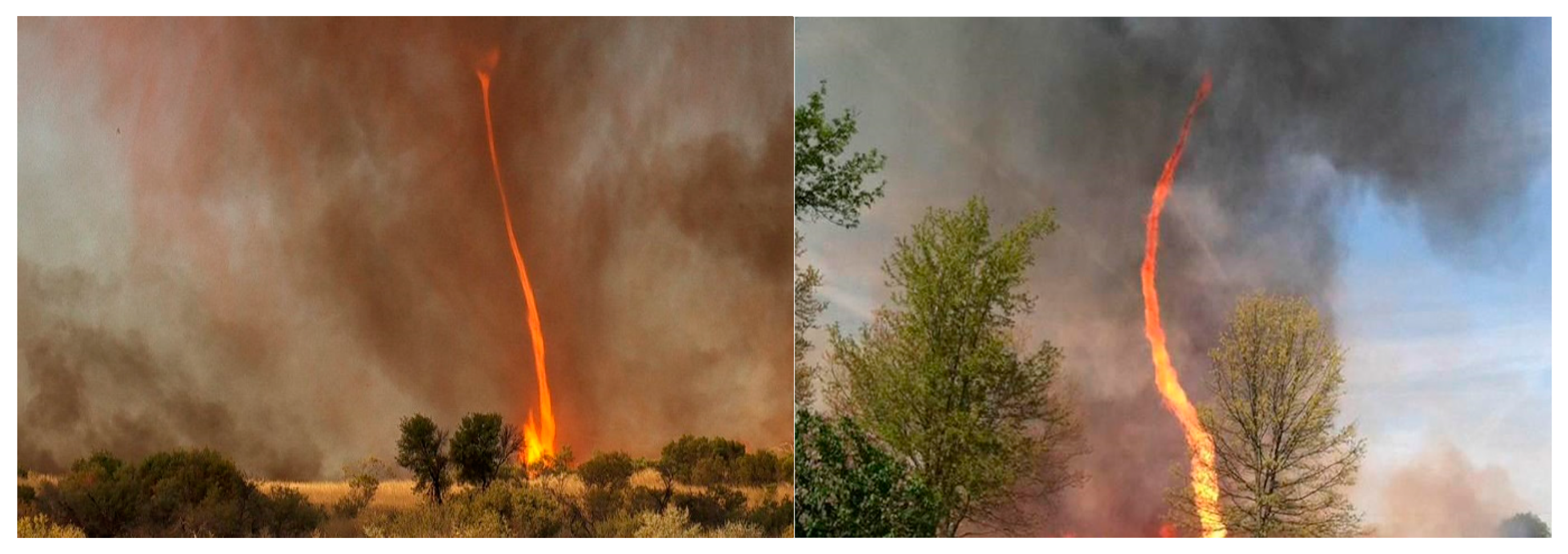 Forests 13 01302 g017