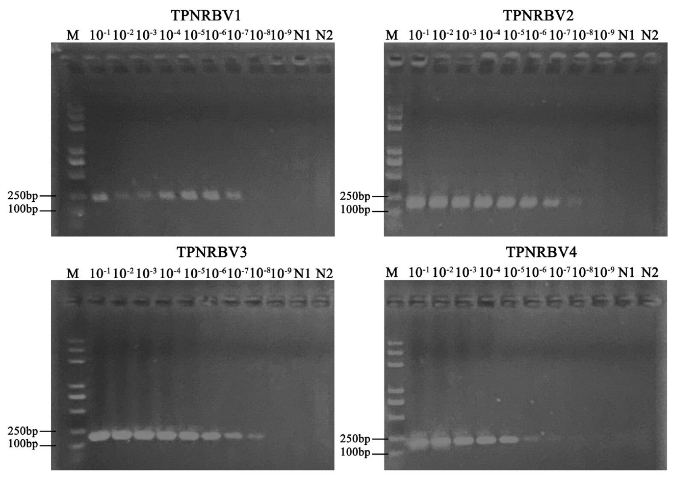 Forests 13 01306 g003