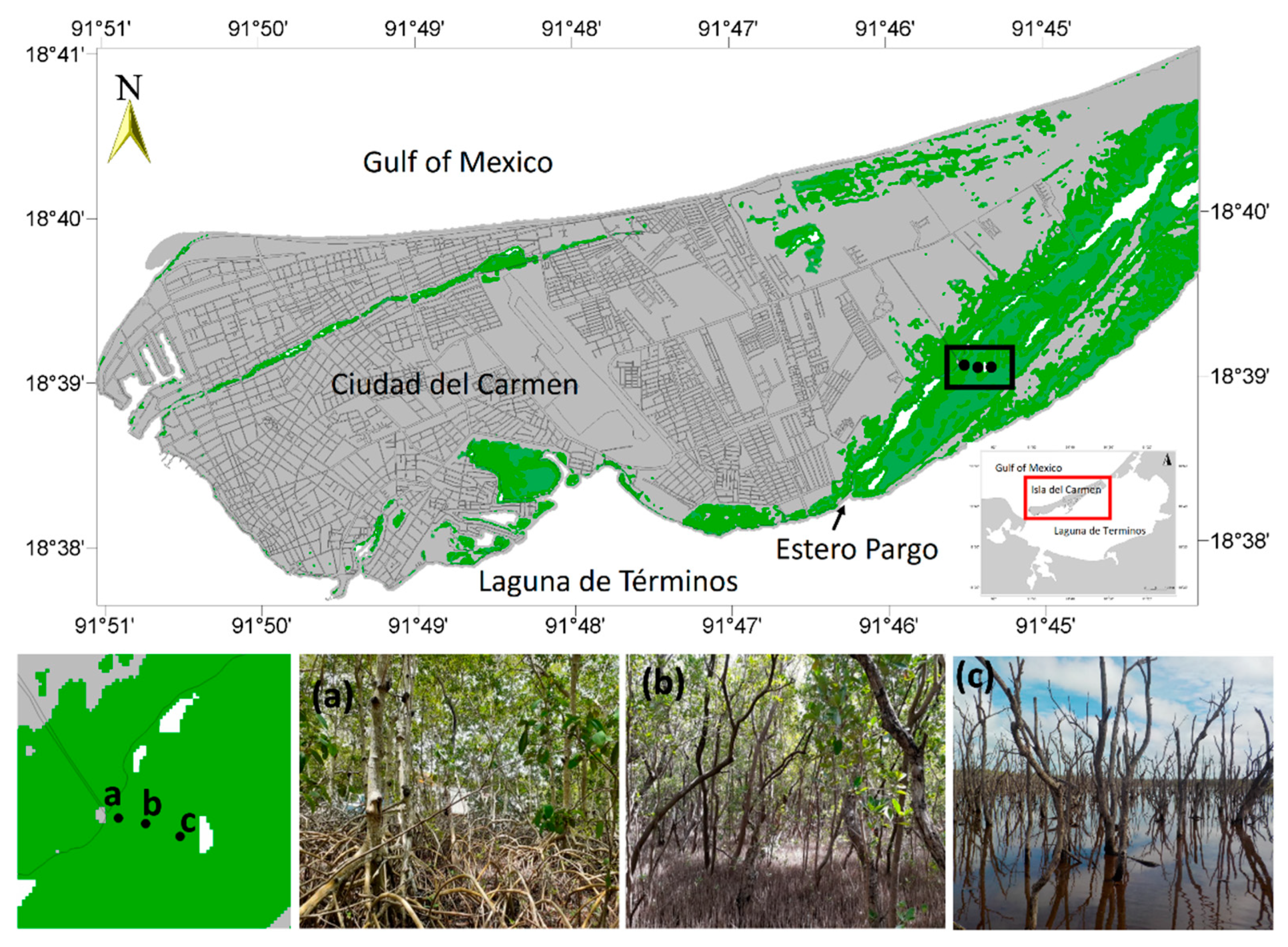 Forests 13 01307 g001