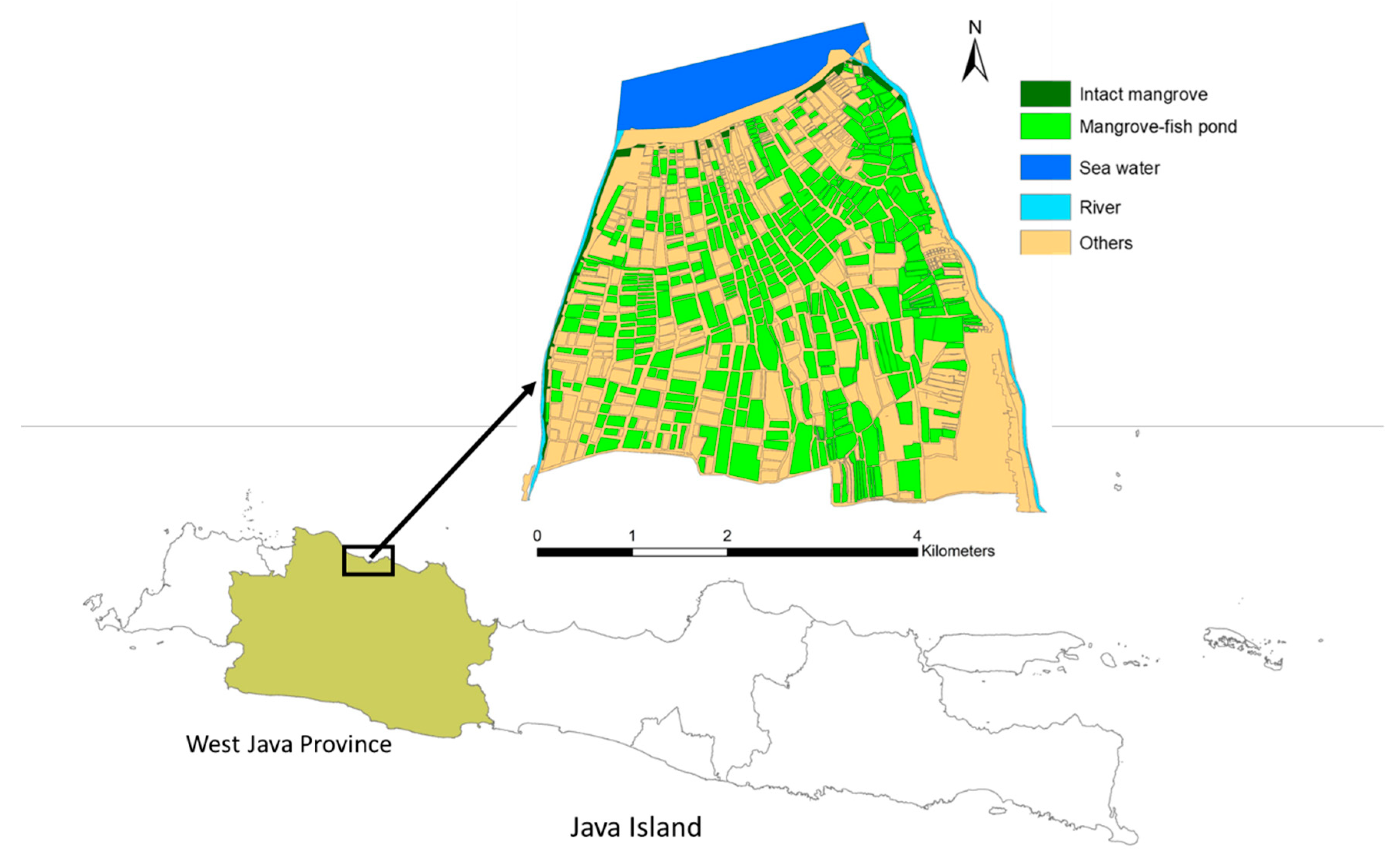 Forests 13 01308 g001