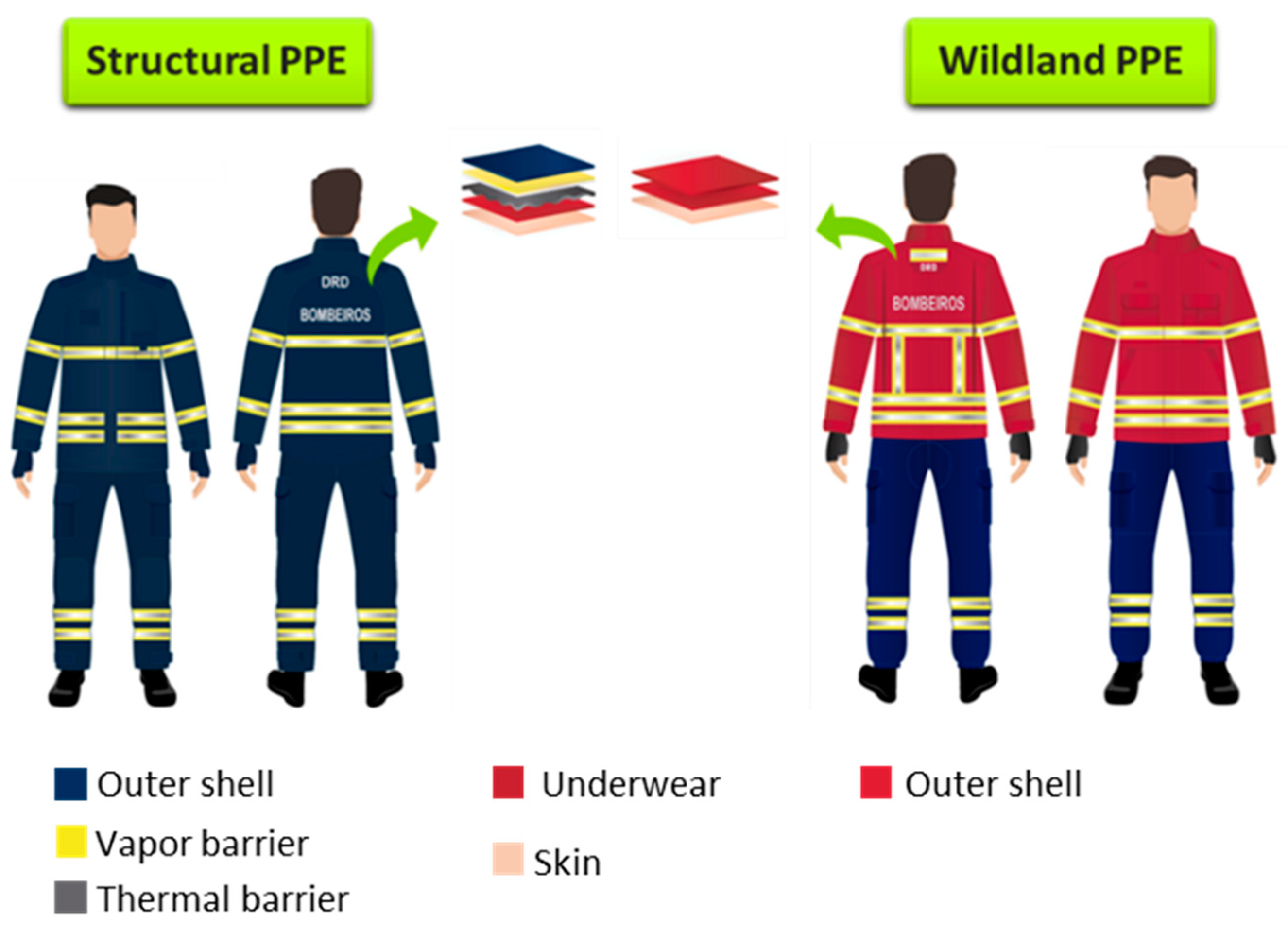 Forests 13 01319 g001