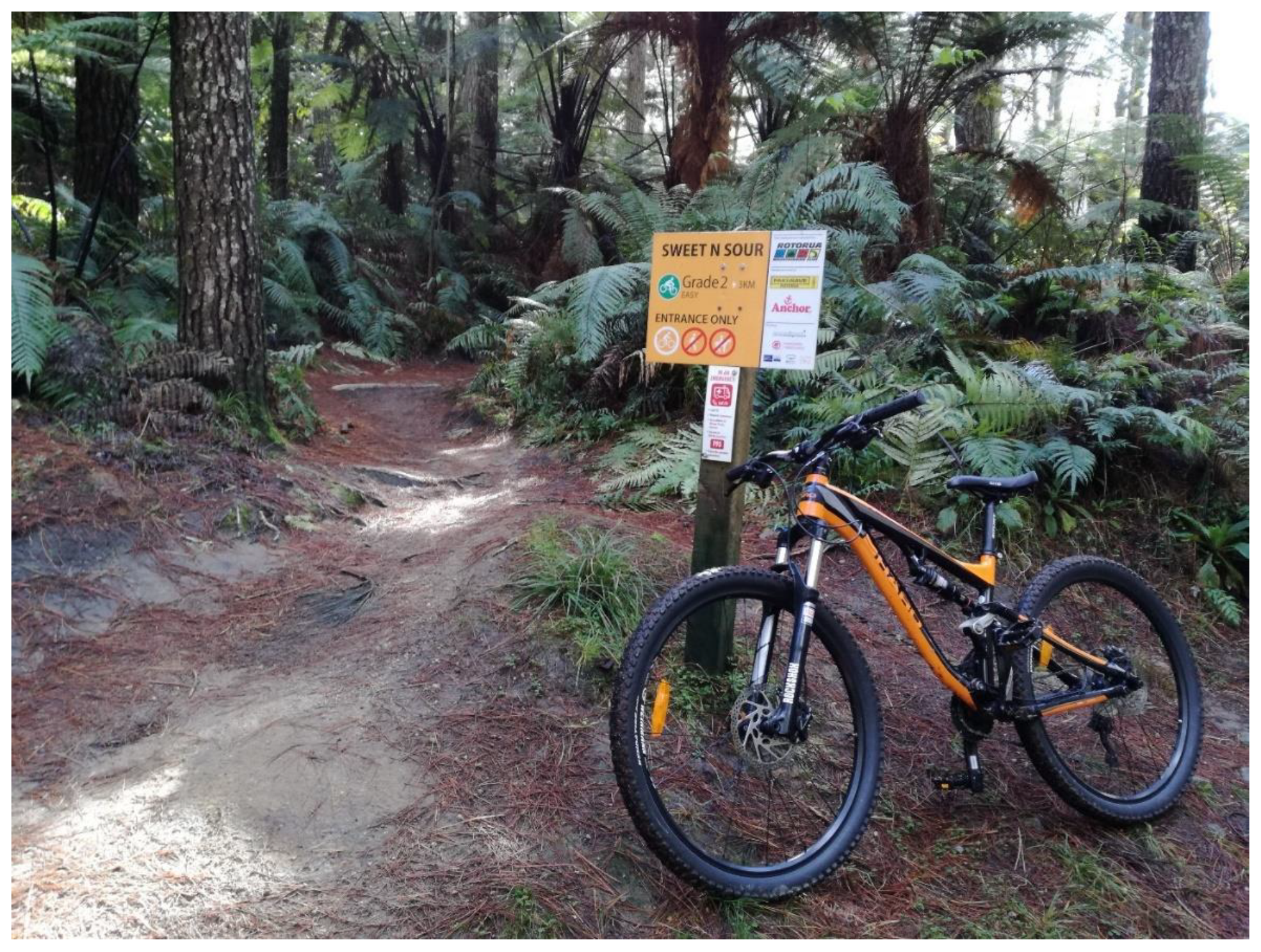 Forests 13 01326 g001