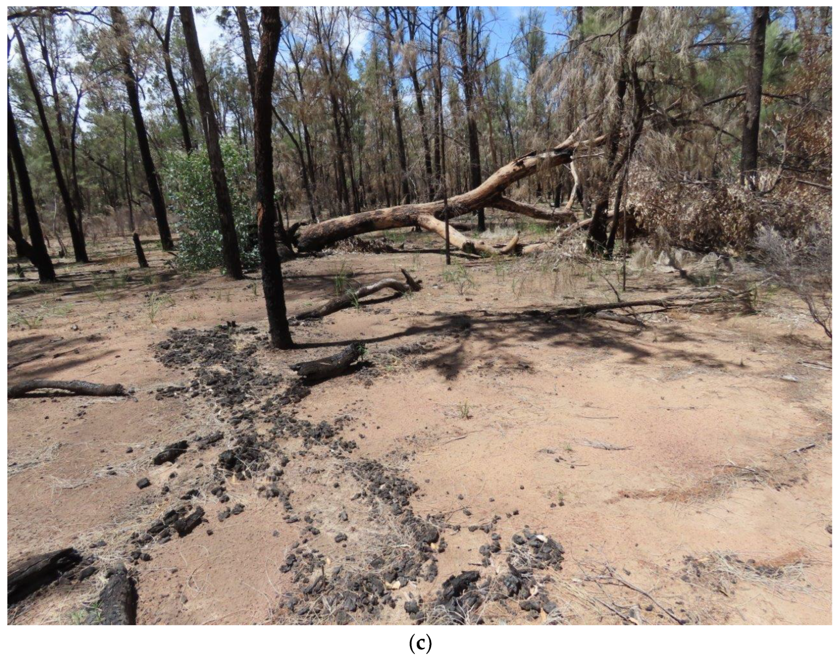 Forests 13 01327 g001b