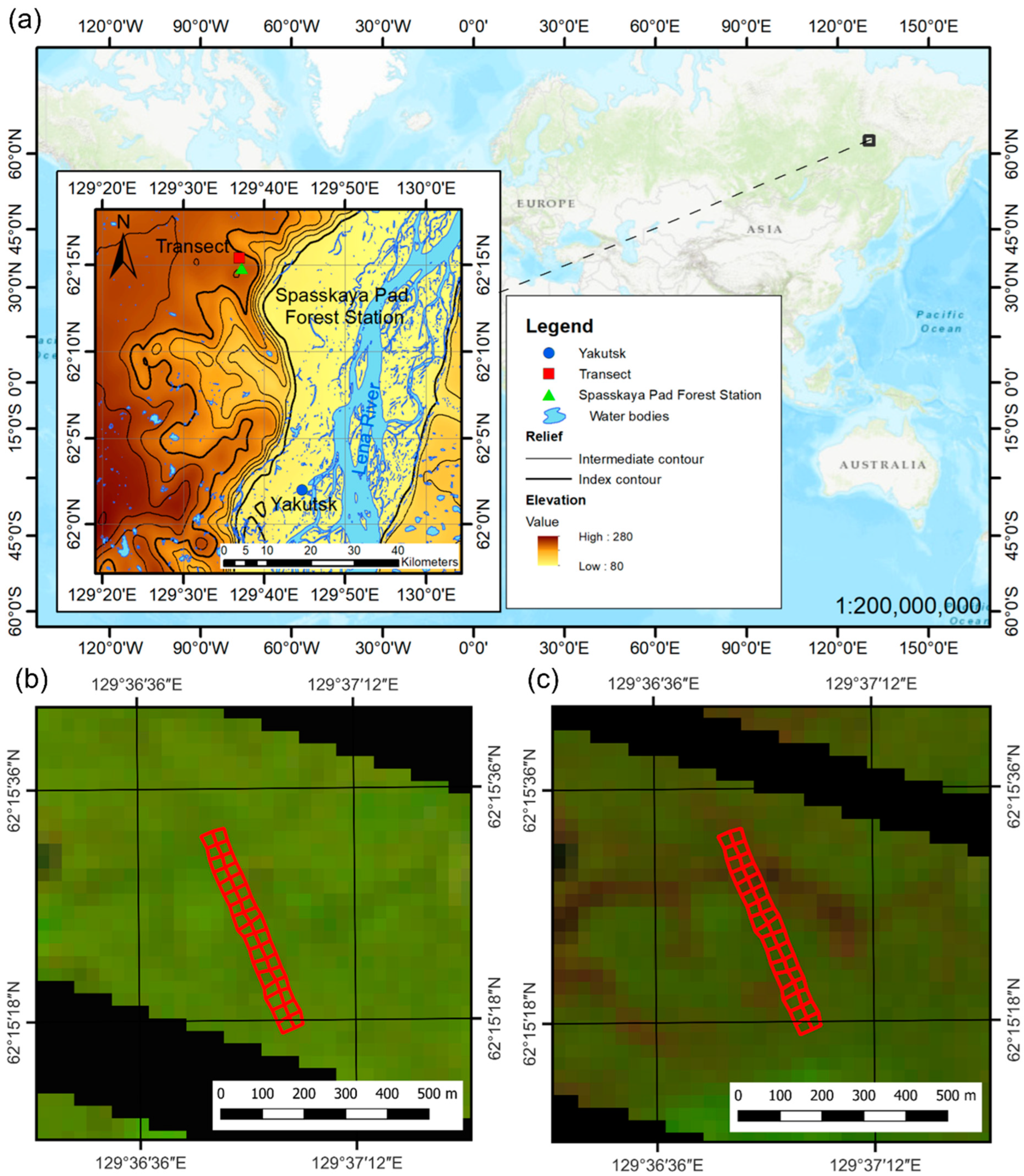 Forests 13 01331 g001