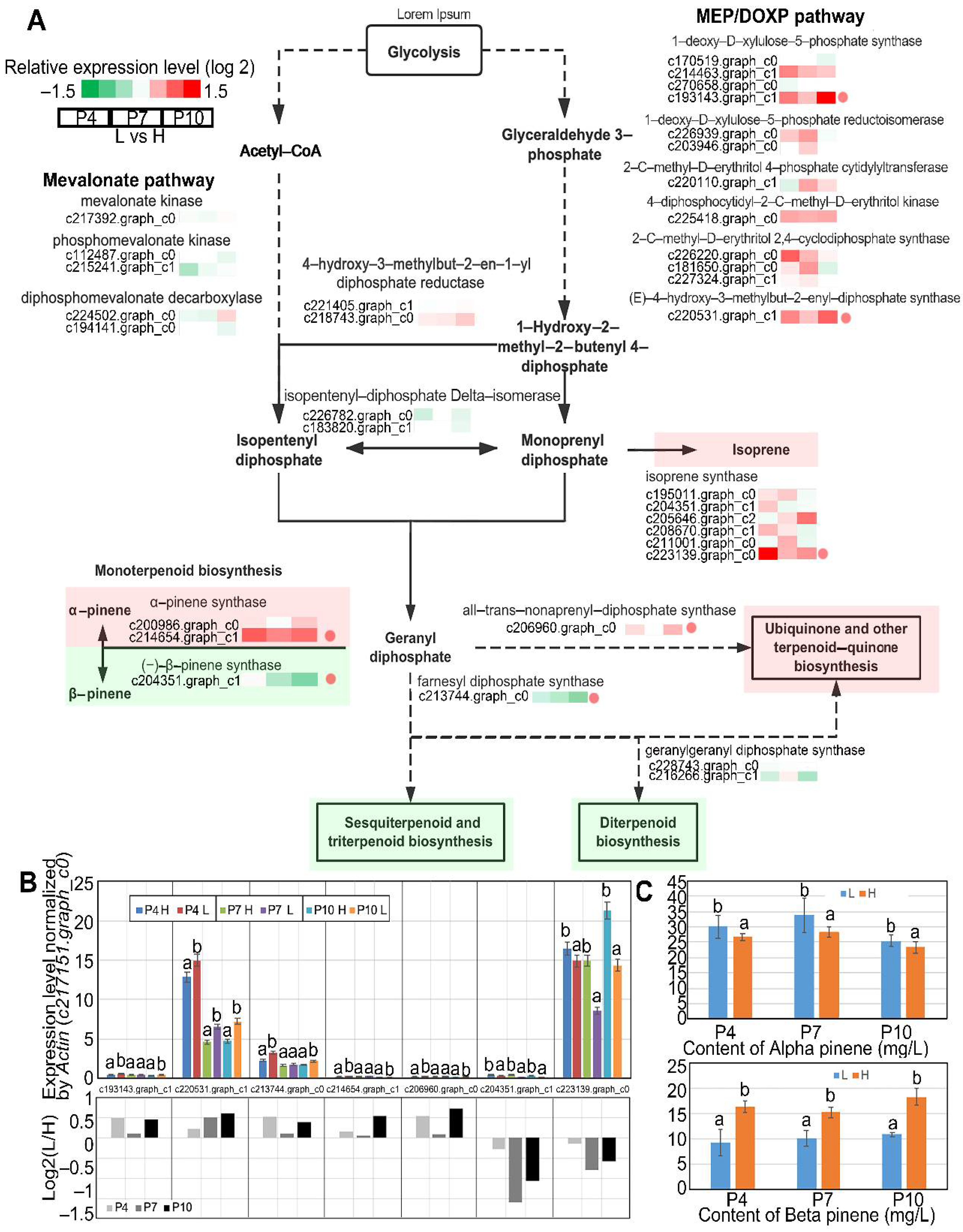 Forests 13 01337 g002