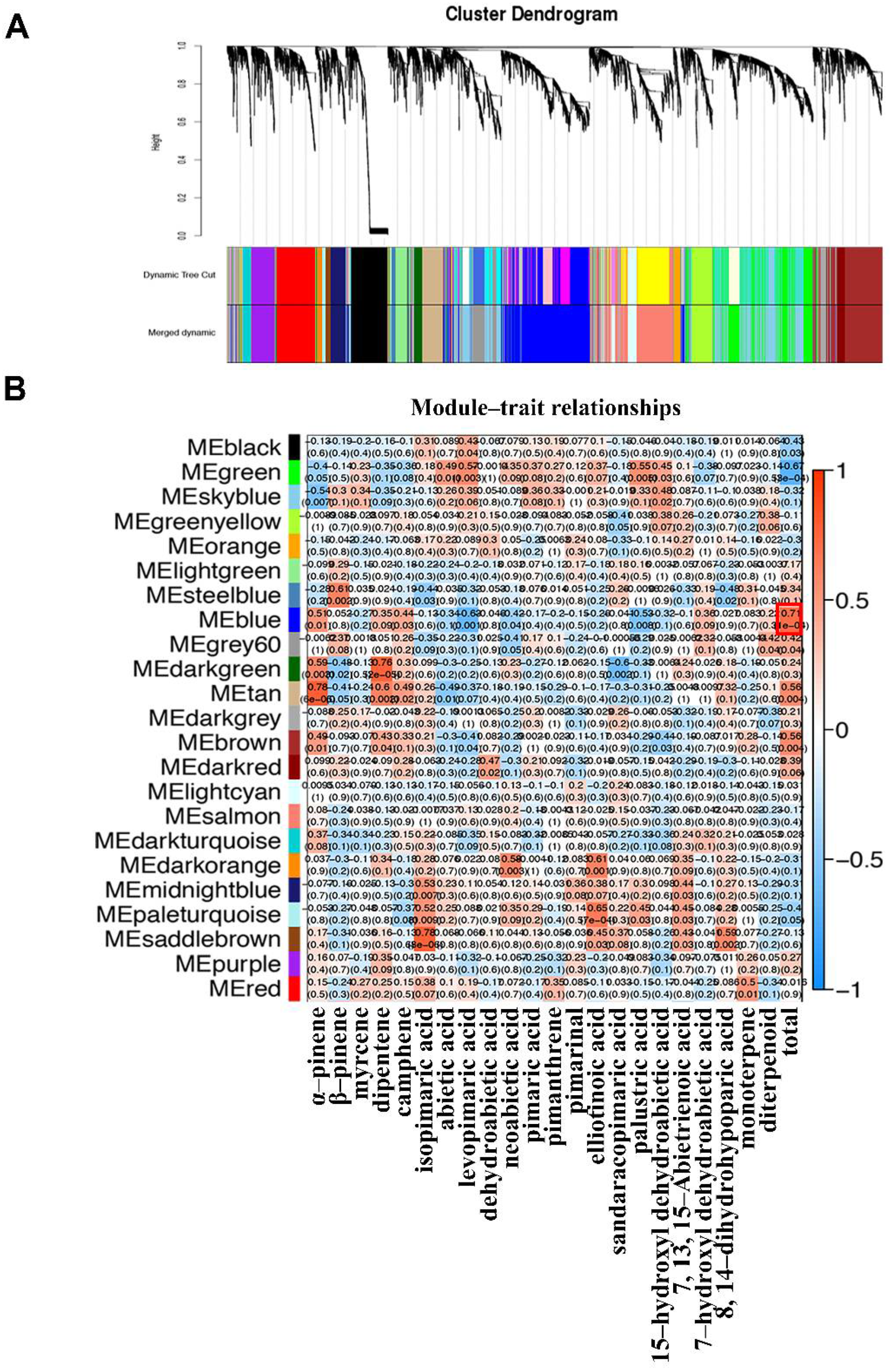 Forests 13 01337 g003