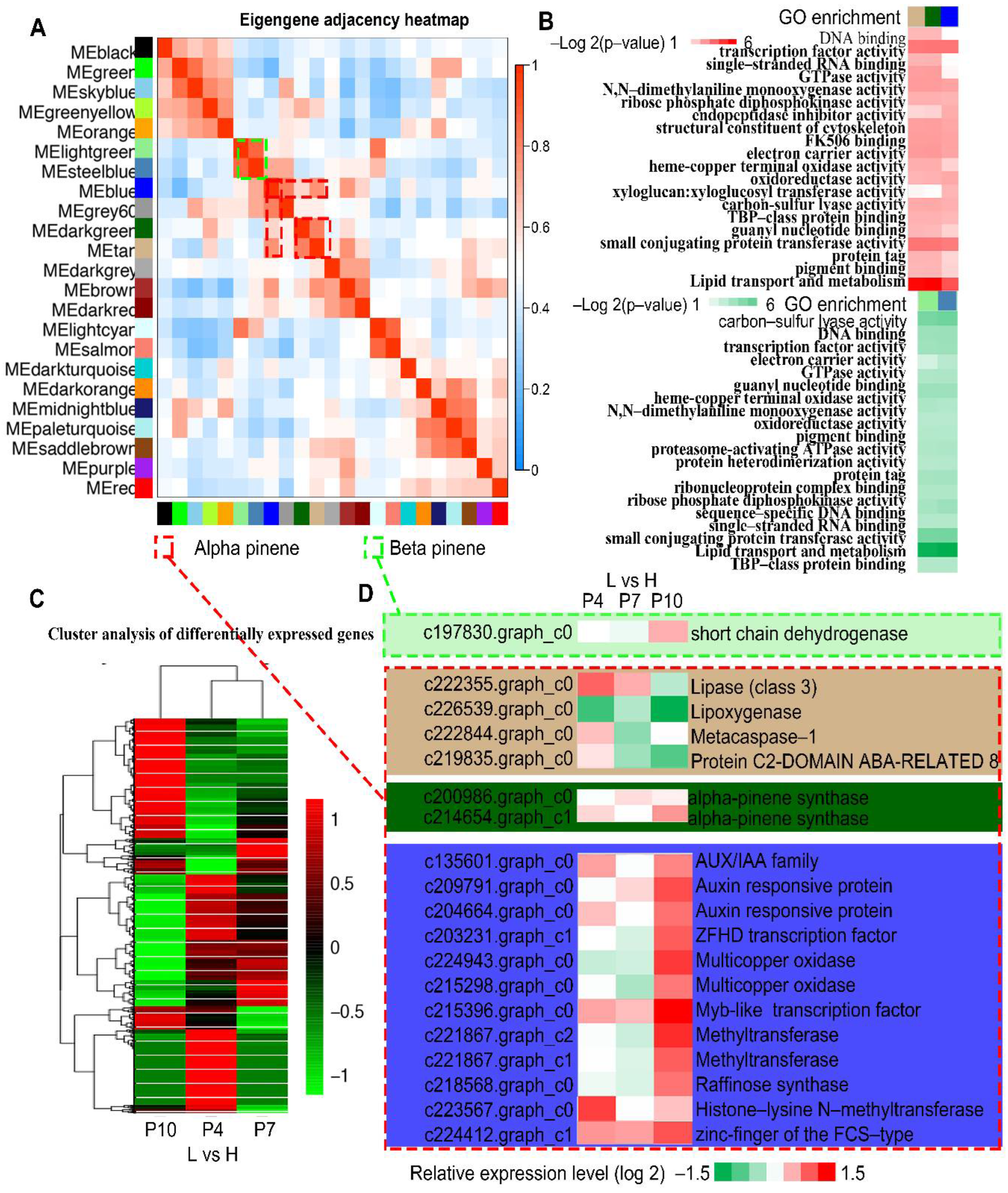 Forests 13 01337 g004