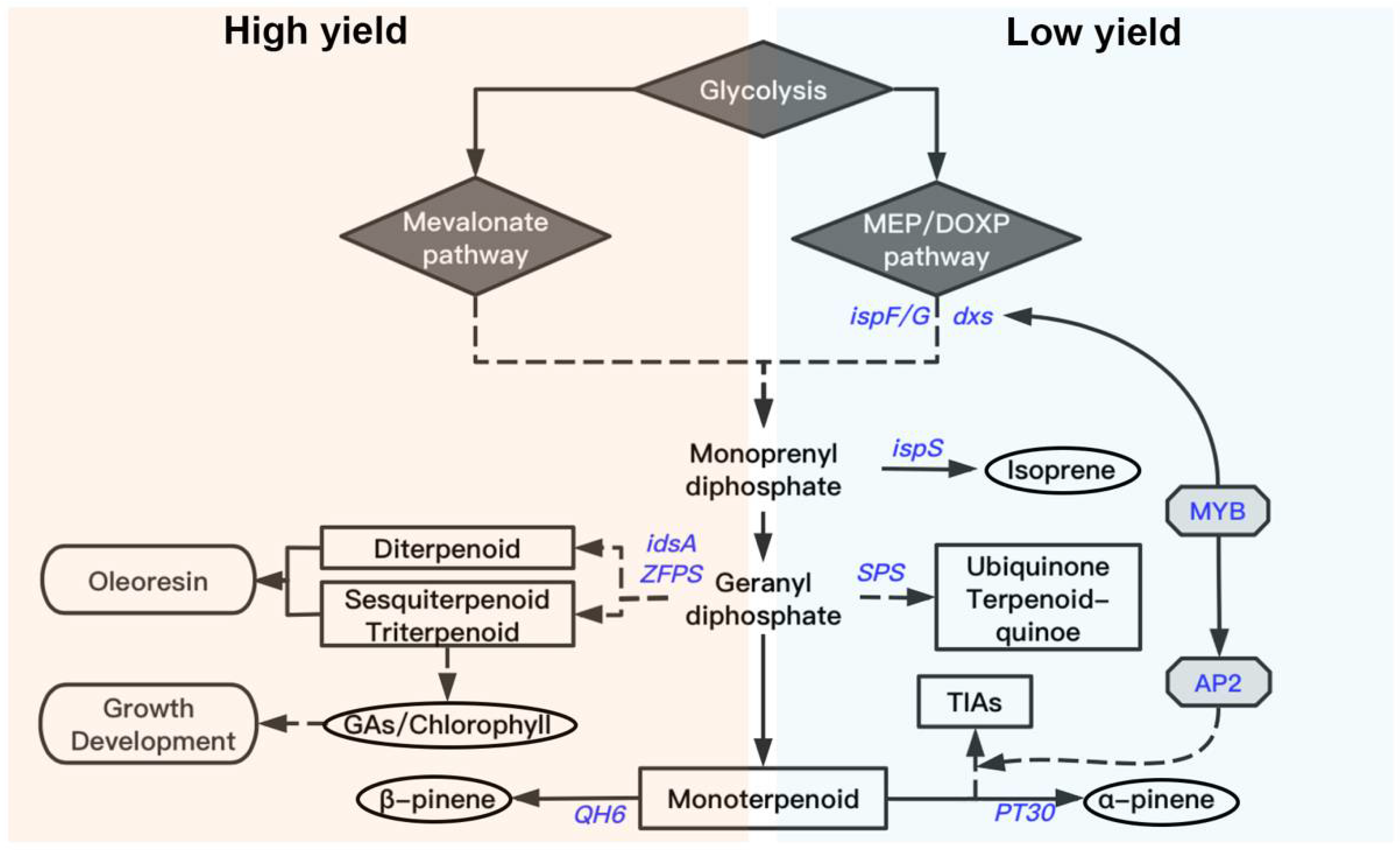 Forests 13 01337 g006