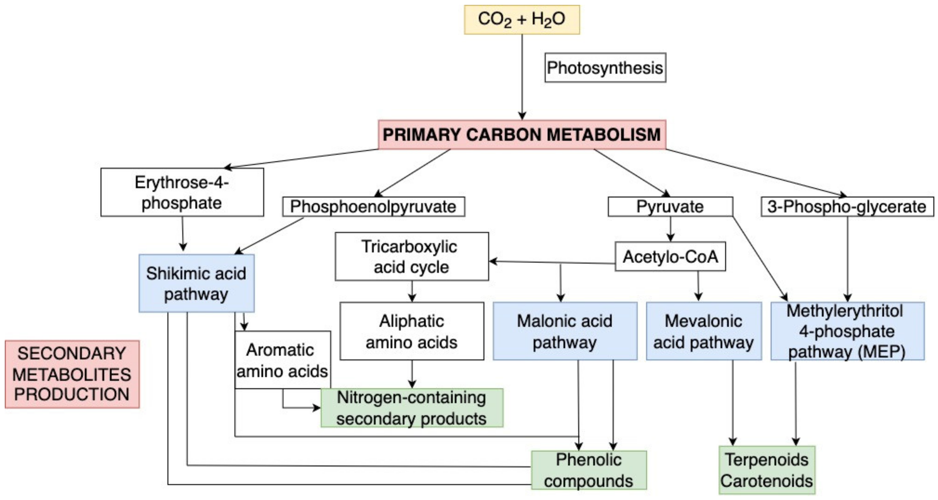 Forests 13 01338 g001