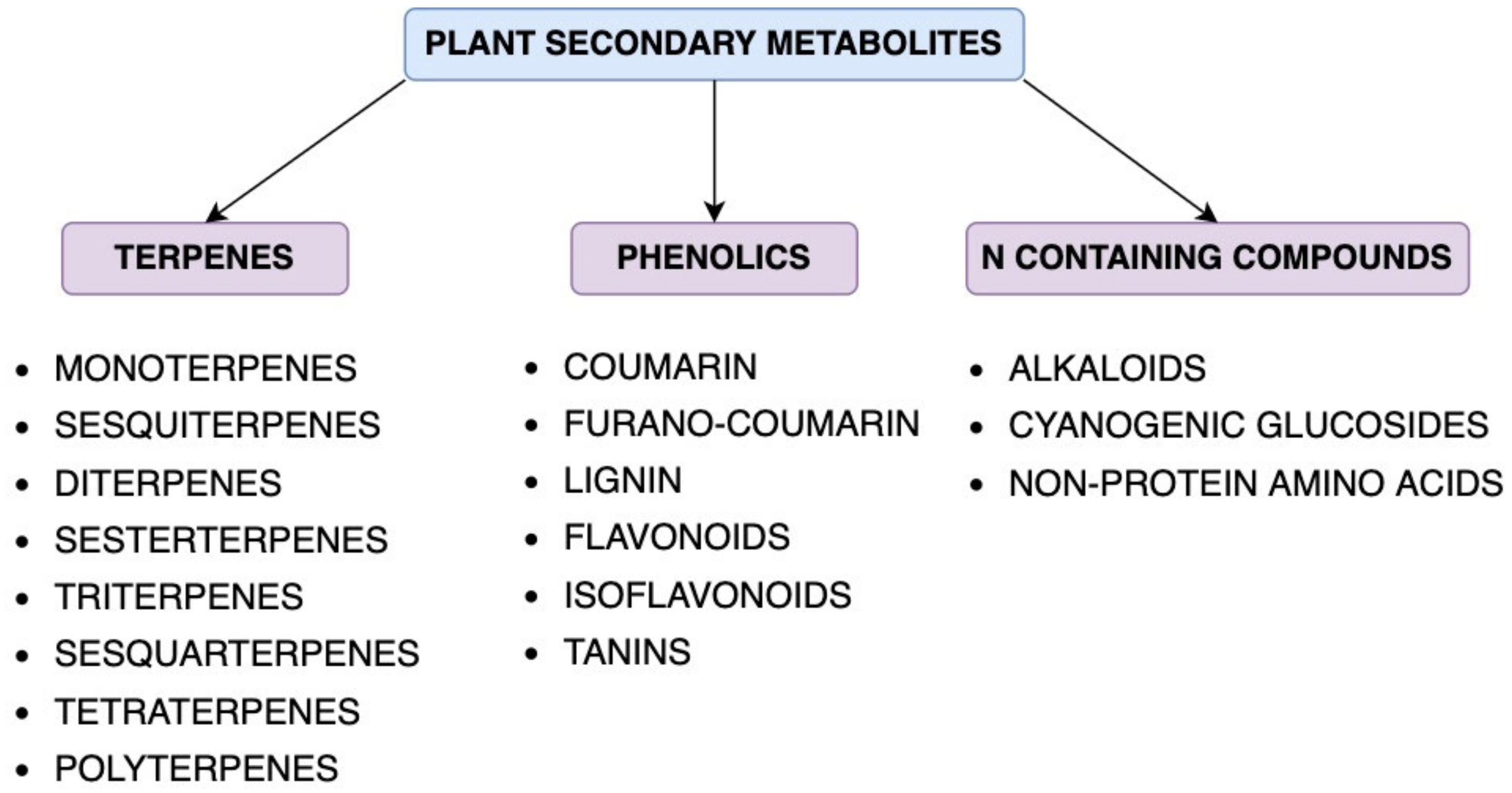 Forests 13 01338 g002