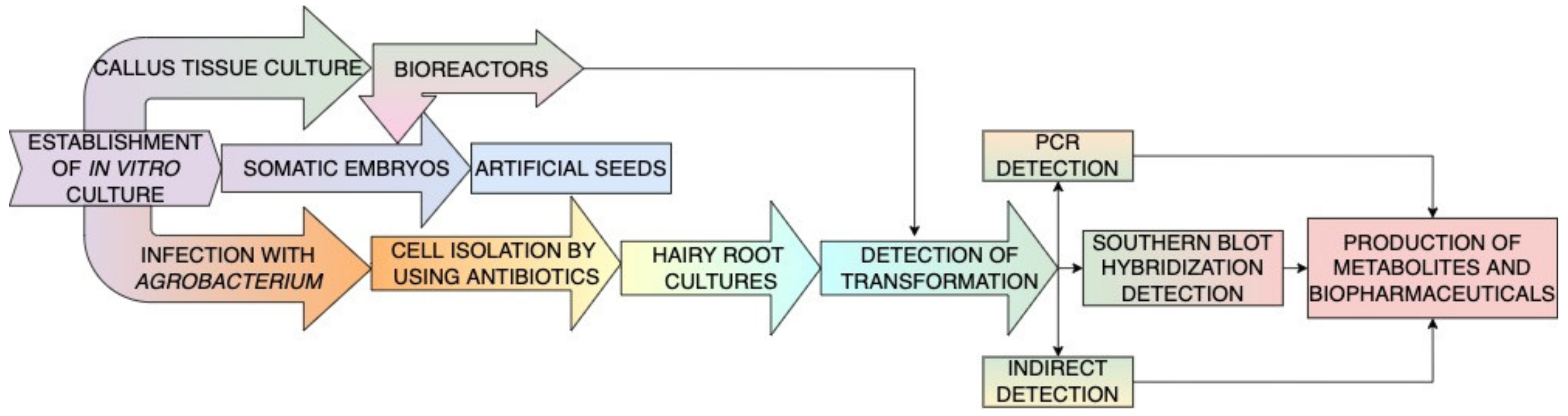 Forests 13 01338 g003