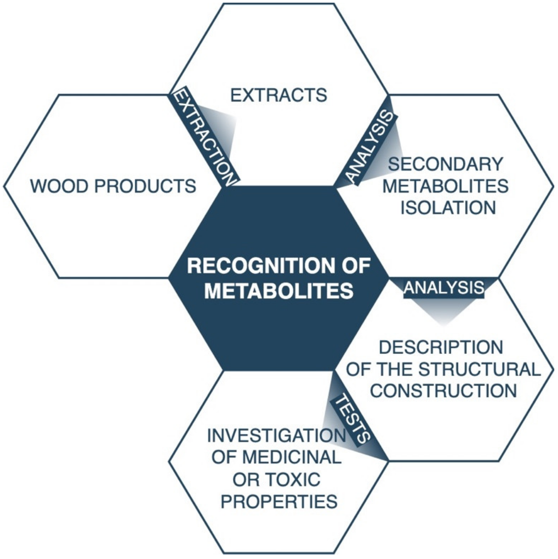 Forests 13 01338 g004
