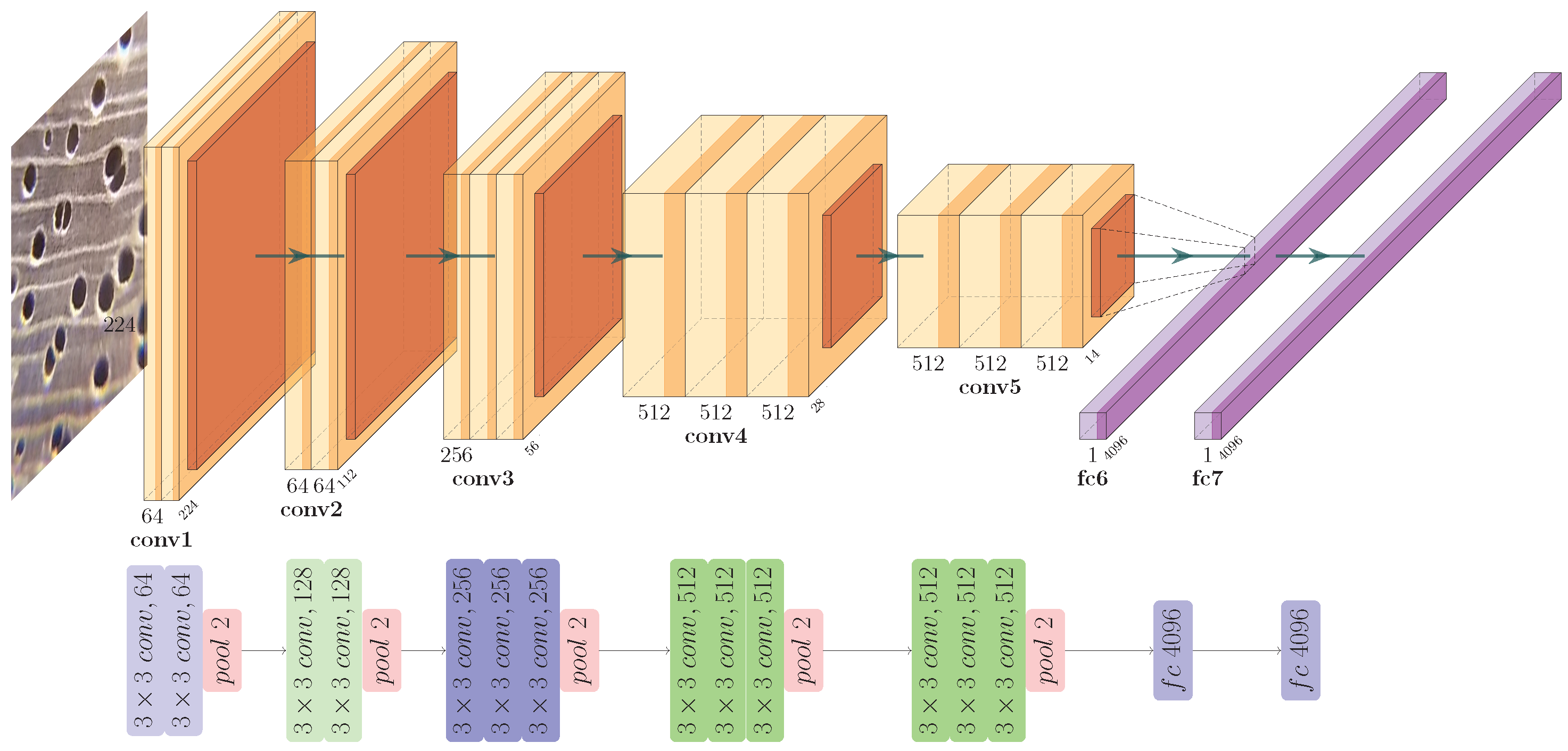 Forests 13 01350 g003
