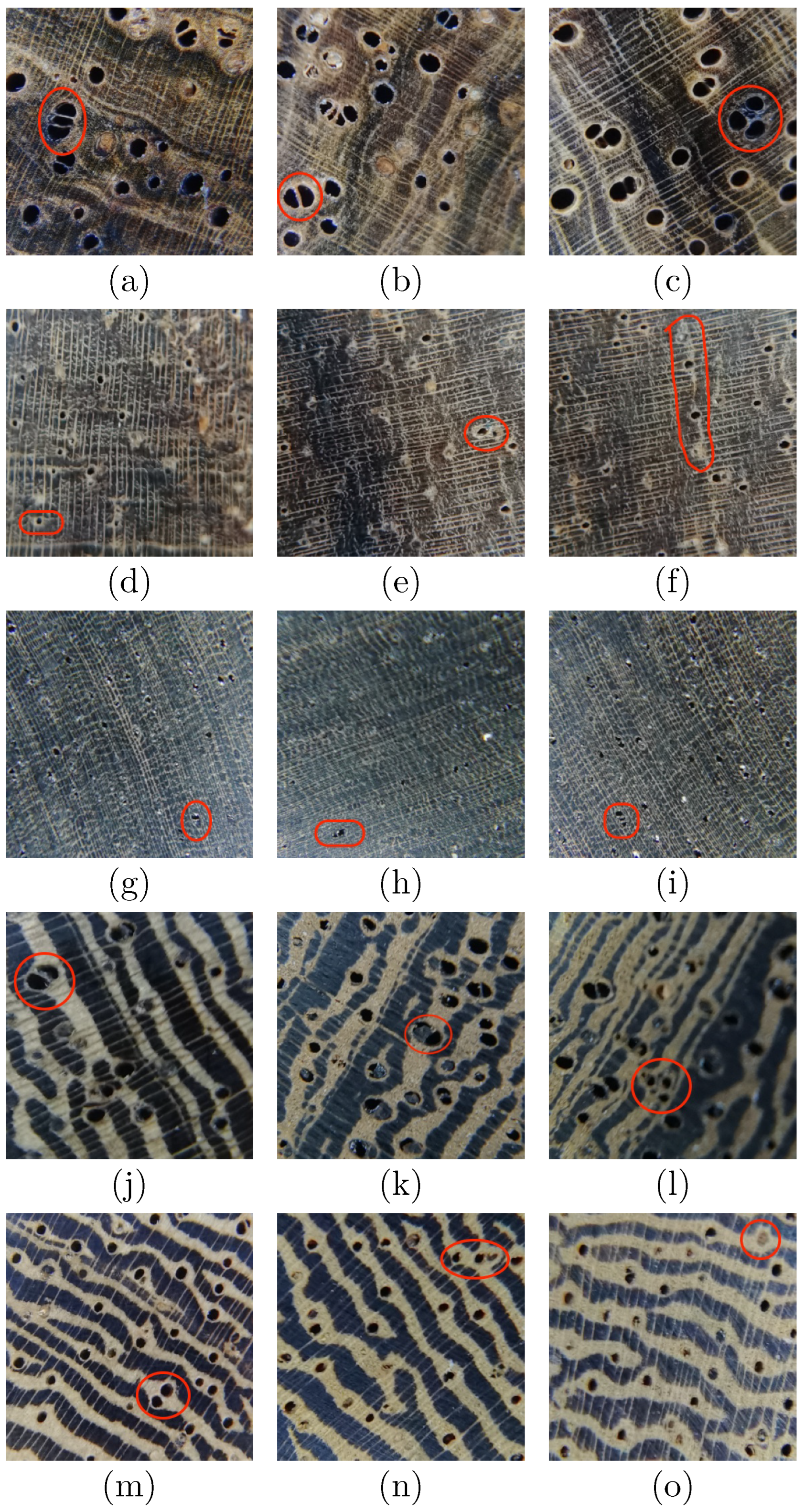 Forests 13 01350 g011