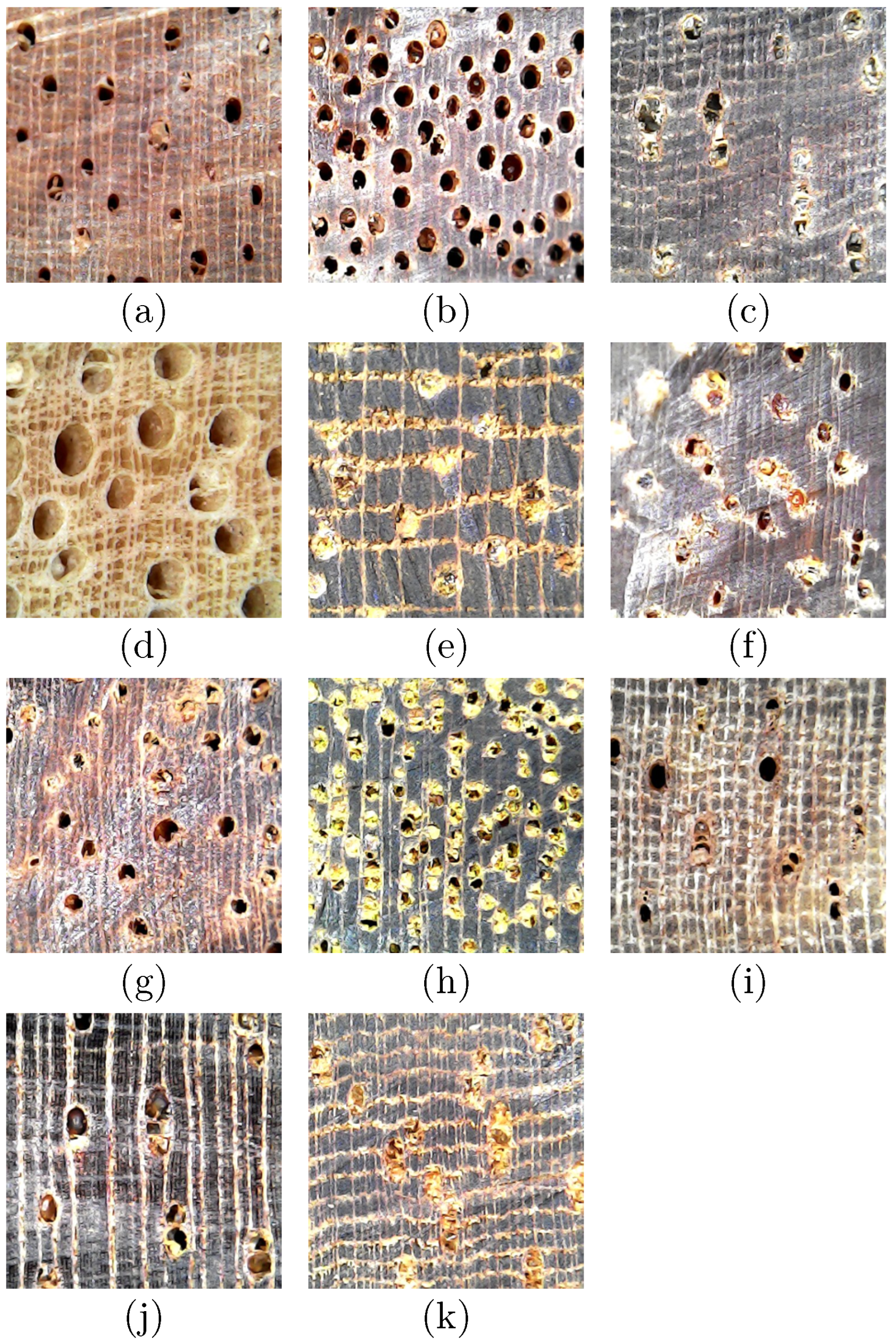 Forests 13 01350 g016