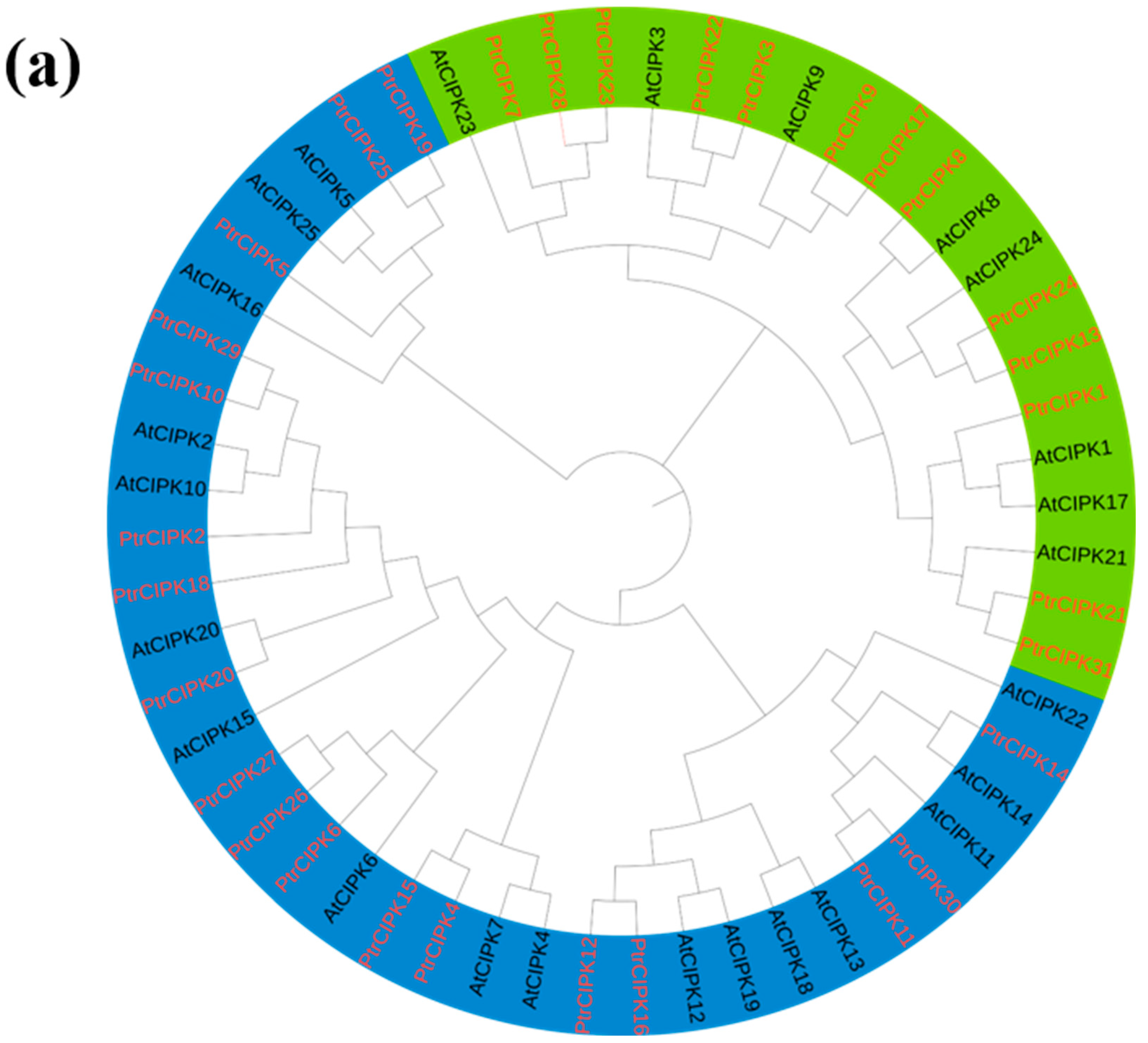Forests 13 01353 g001a