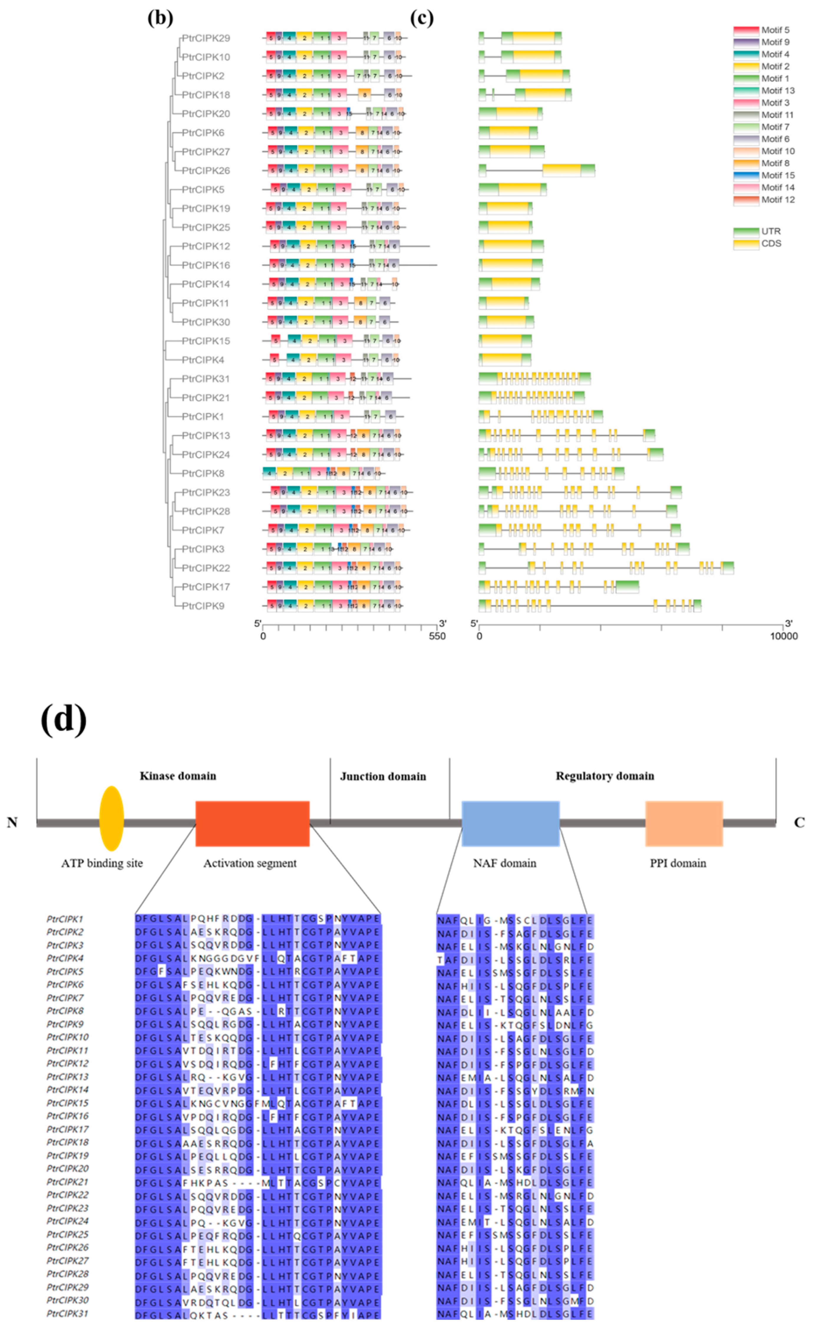 Forests 13 01353 g001b