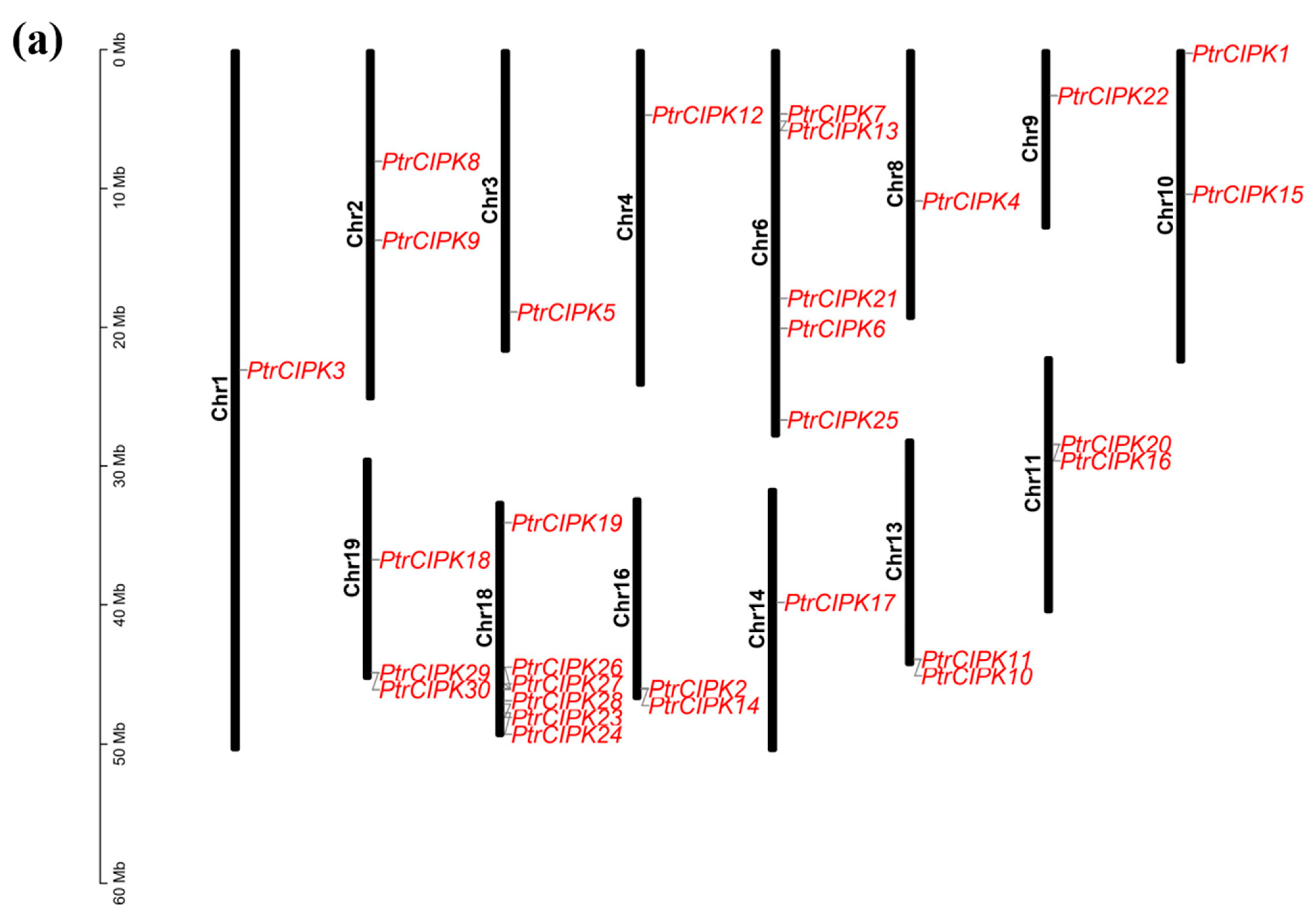 Forests 13 01353 g002a