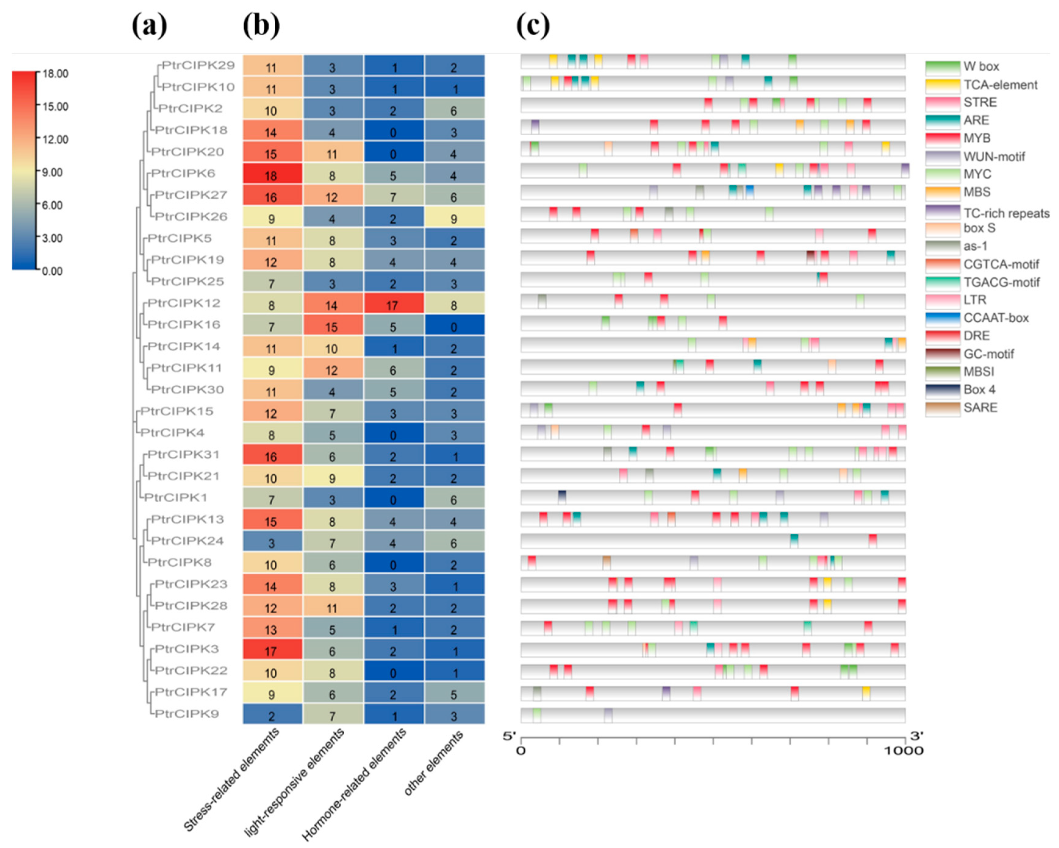 Forests 13 01353 g003