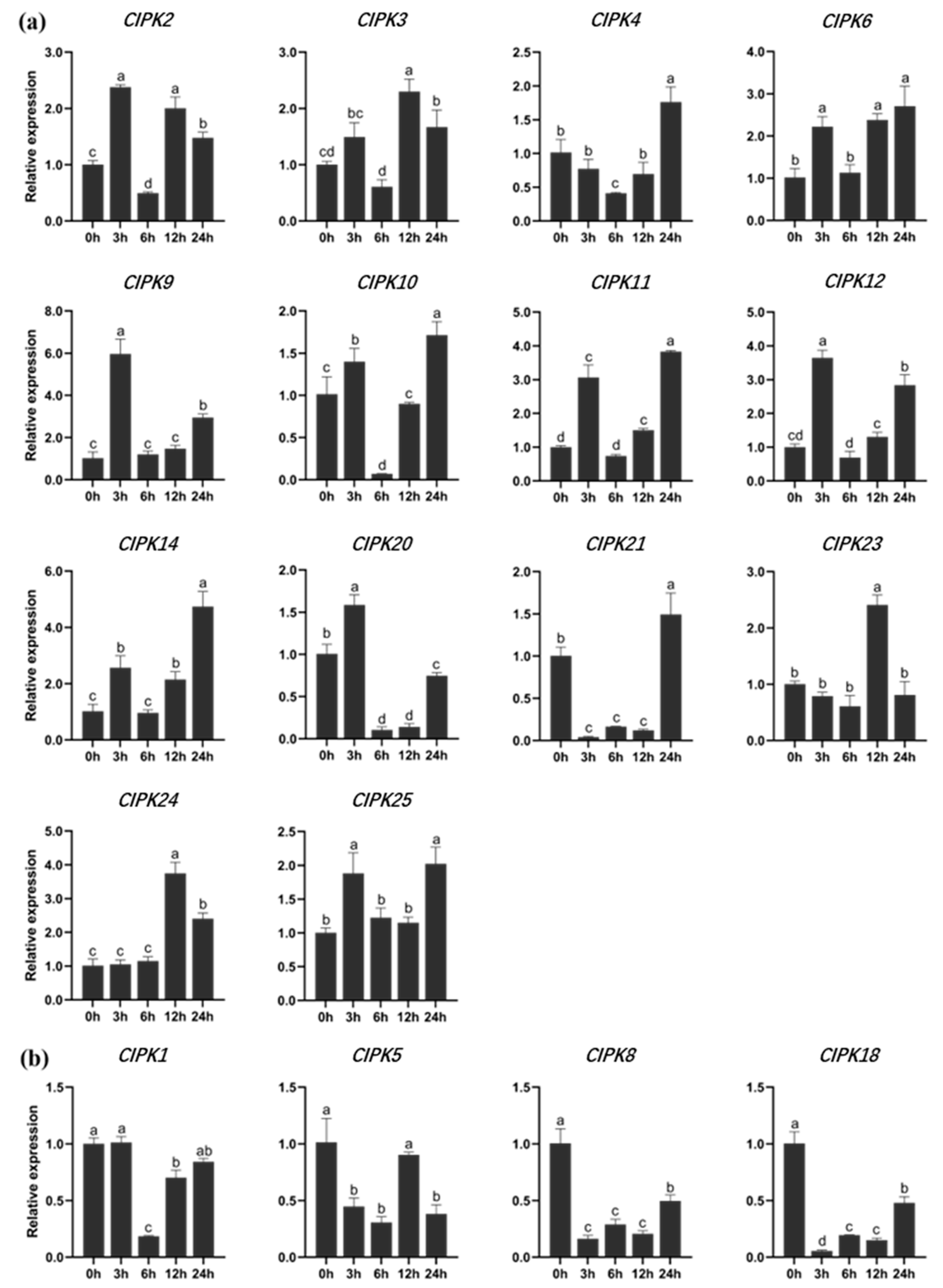 Forests 13 01353 g004