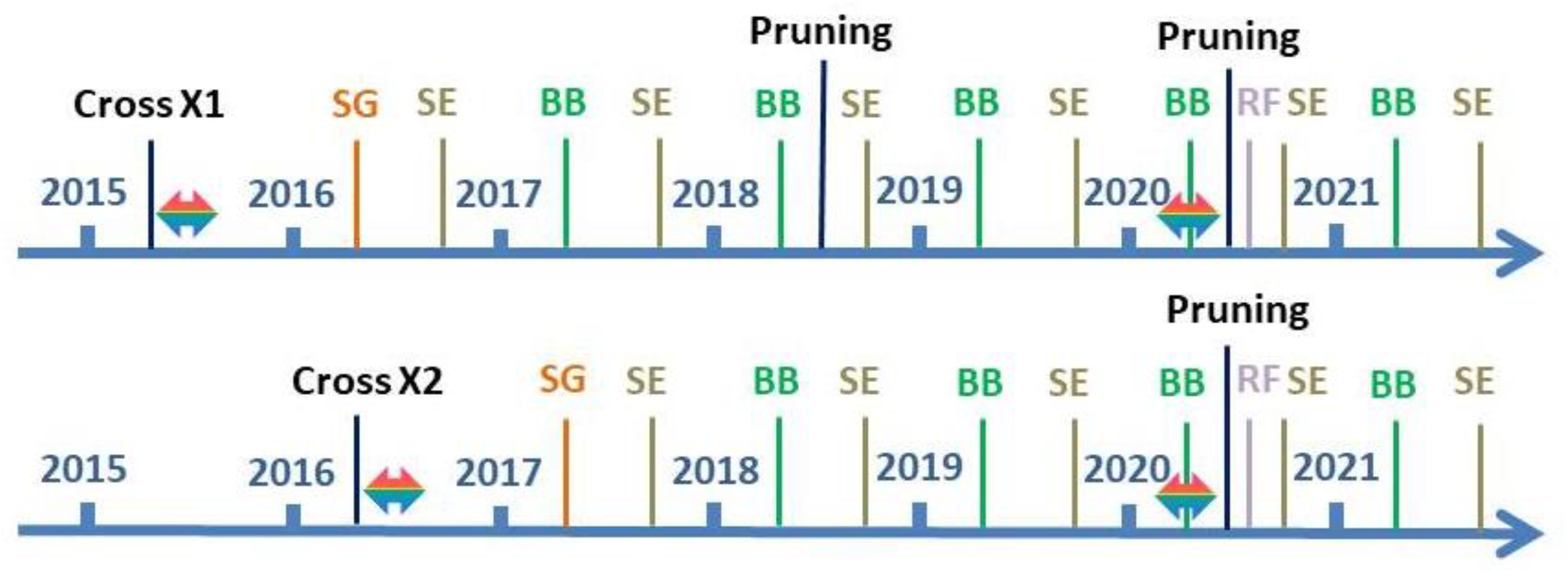 Forests 13 01362 g001