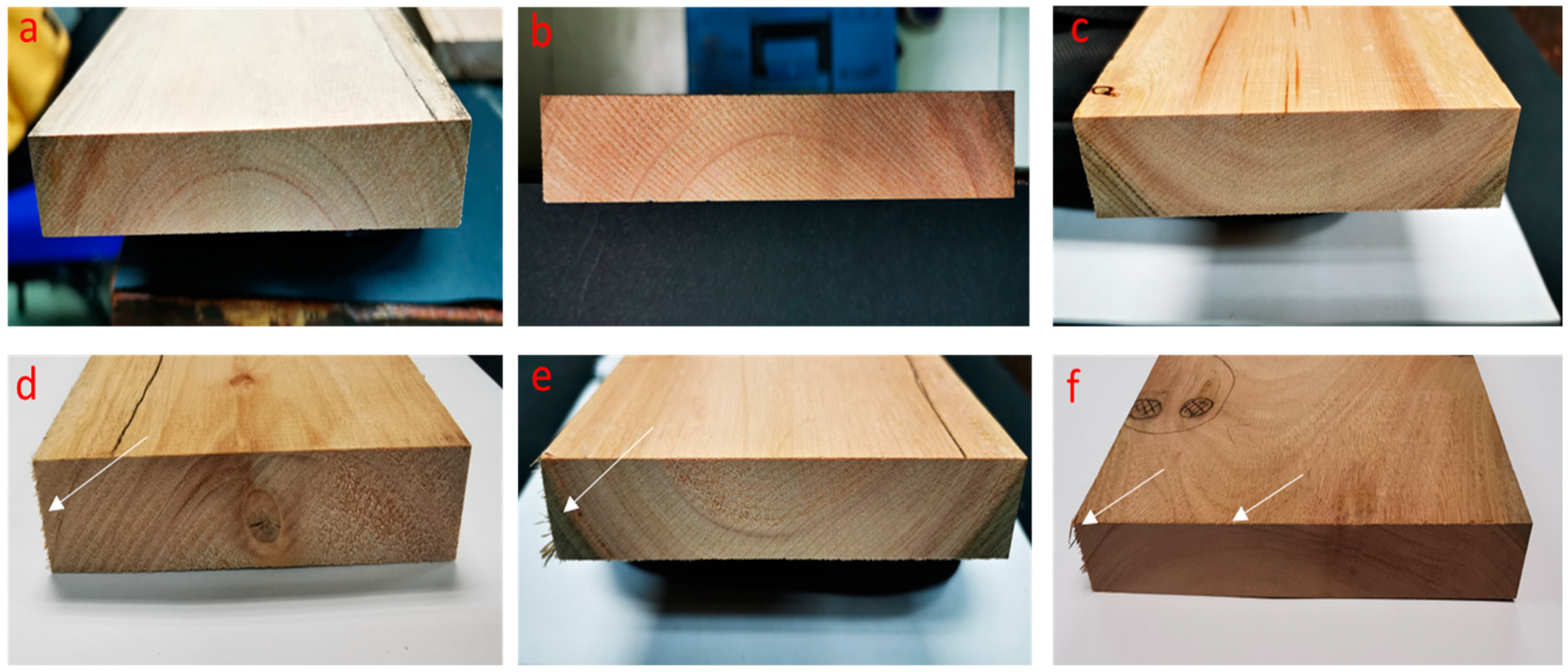 Forests 13 01366 g005