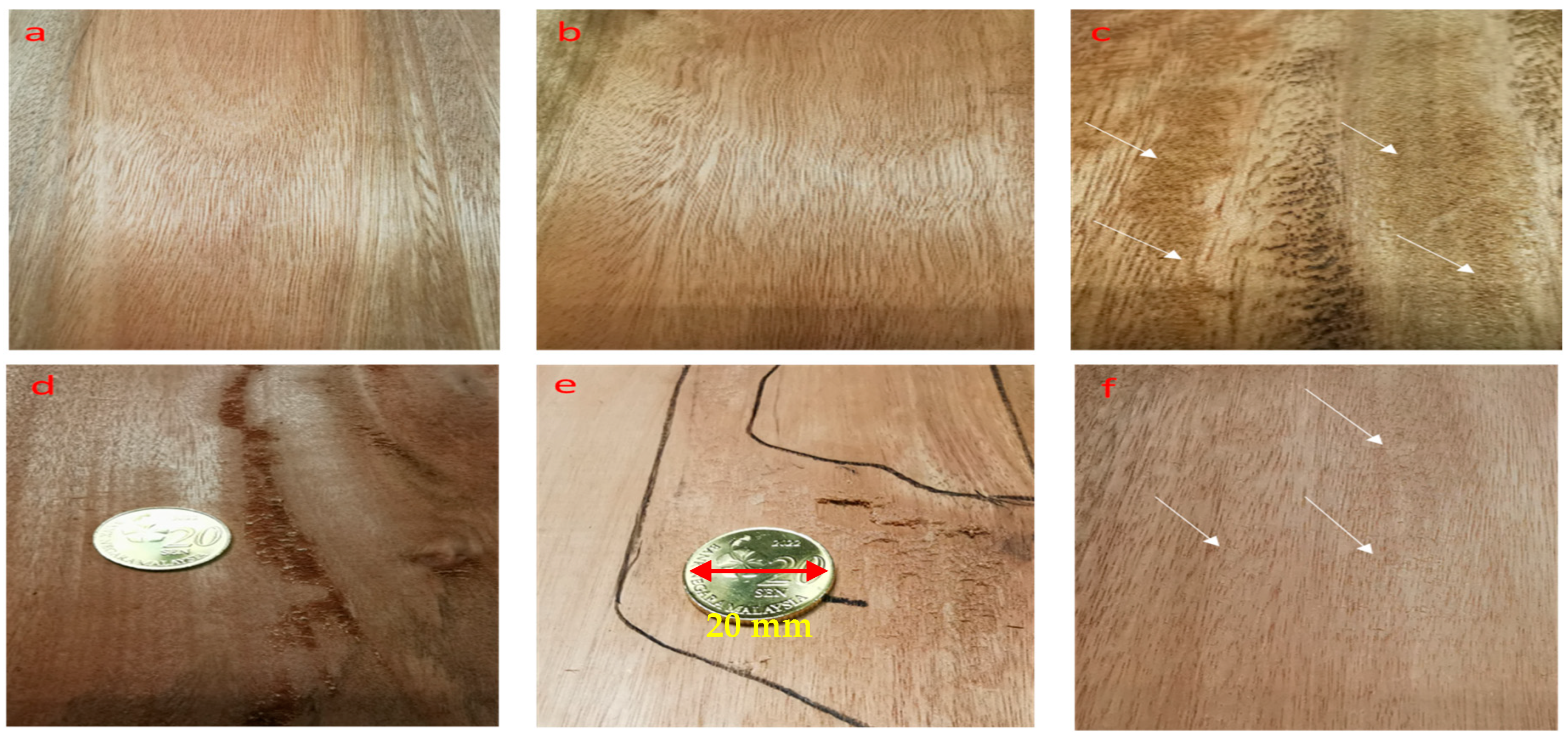 Forests 13 01366 g006