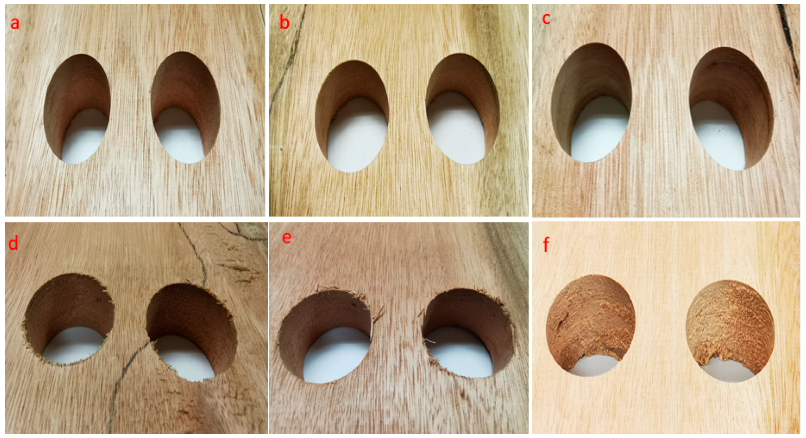 Forests 13 01366 g007
