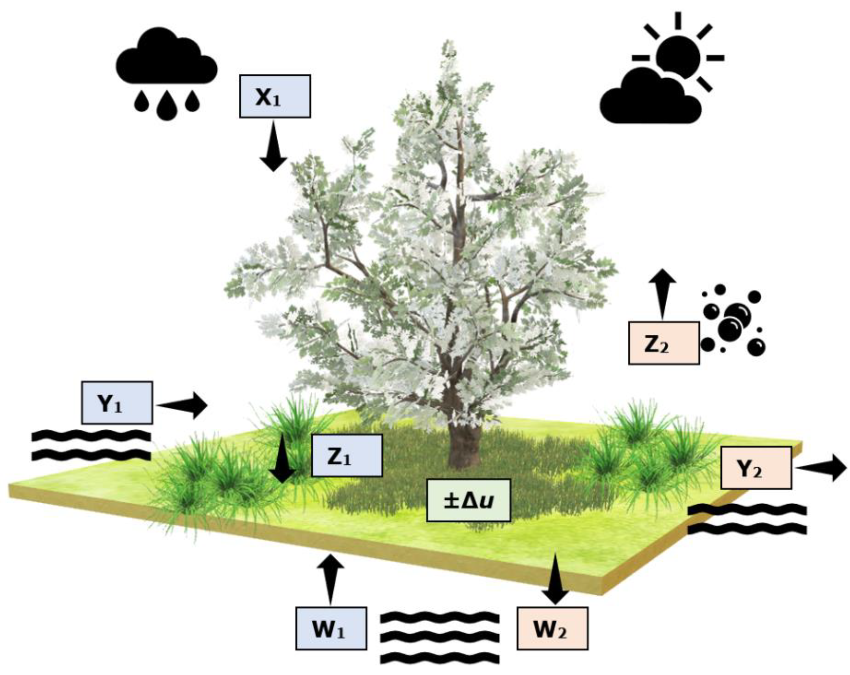 Forests 13 01370 g003