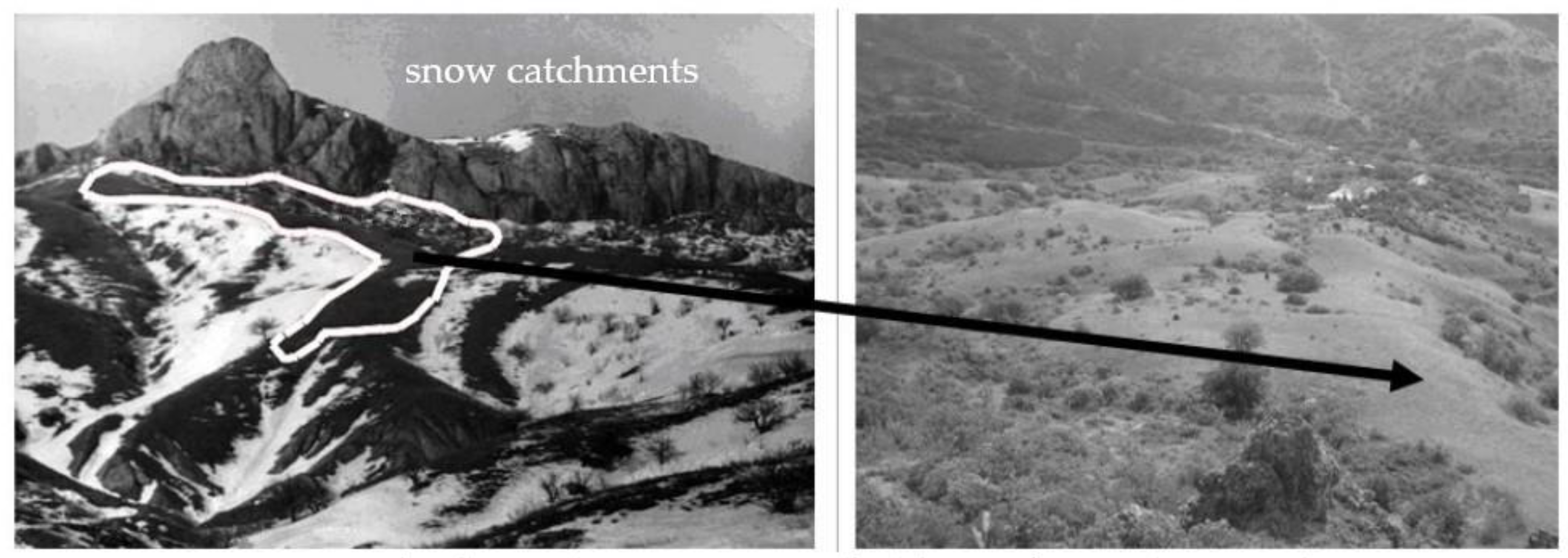 Forests 13 01370 g006