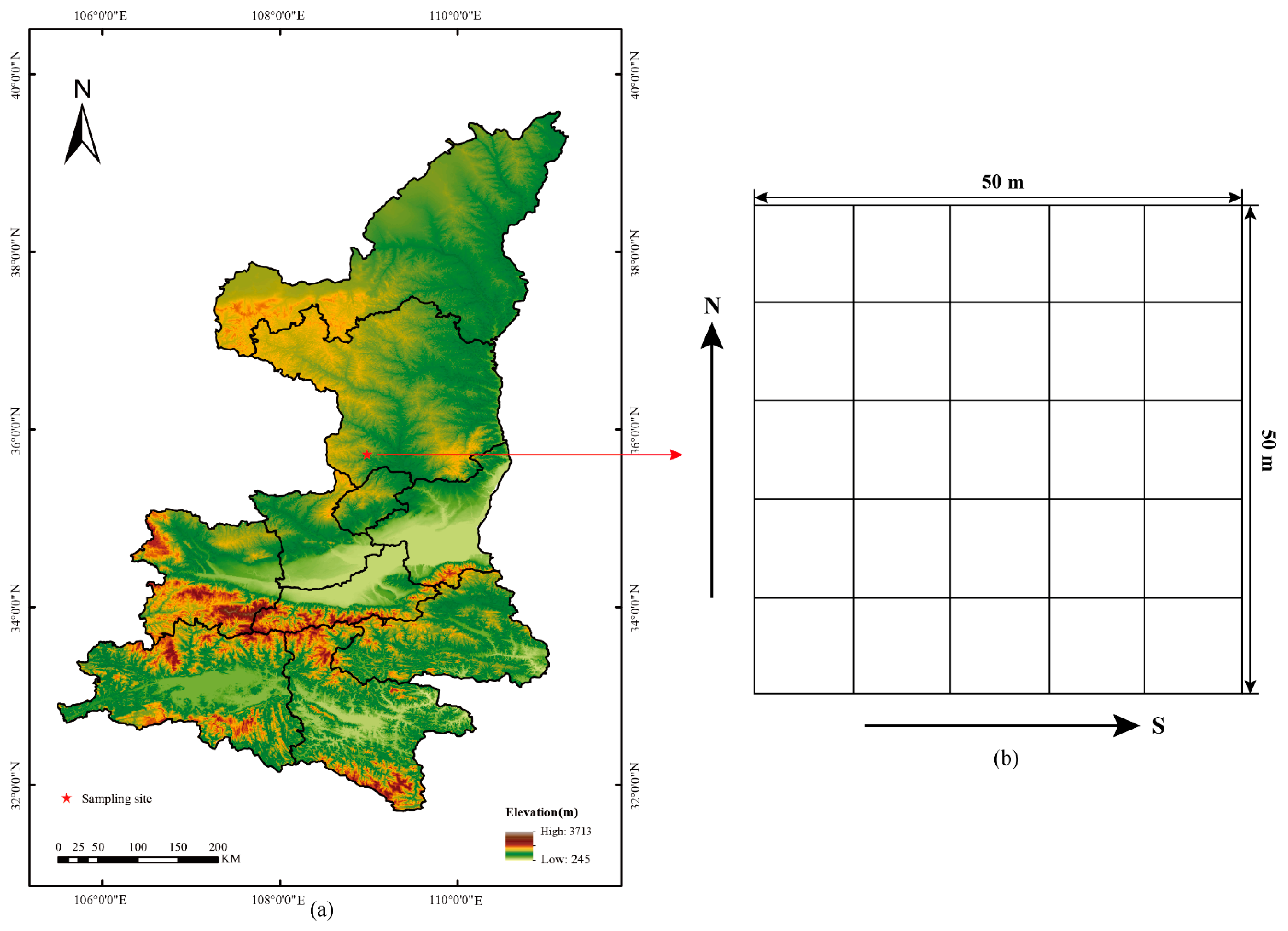 Forests 13 01375 g001