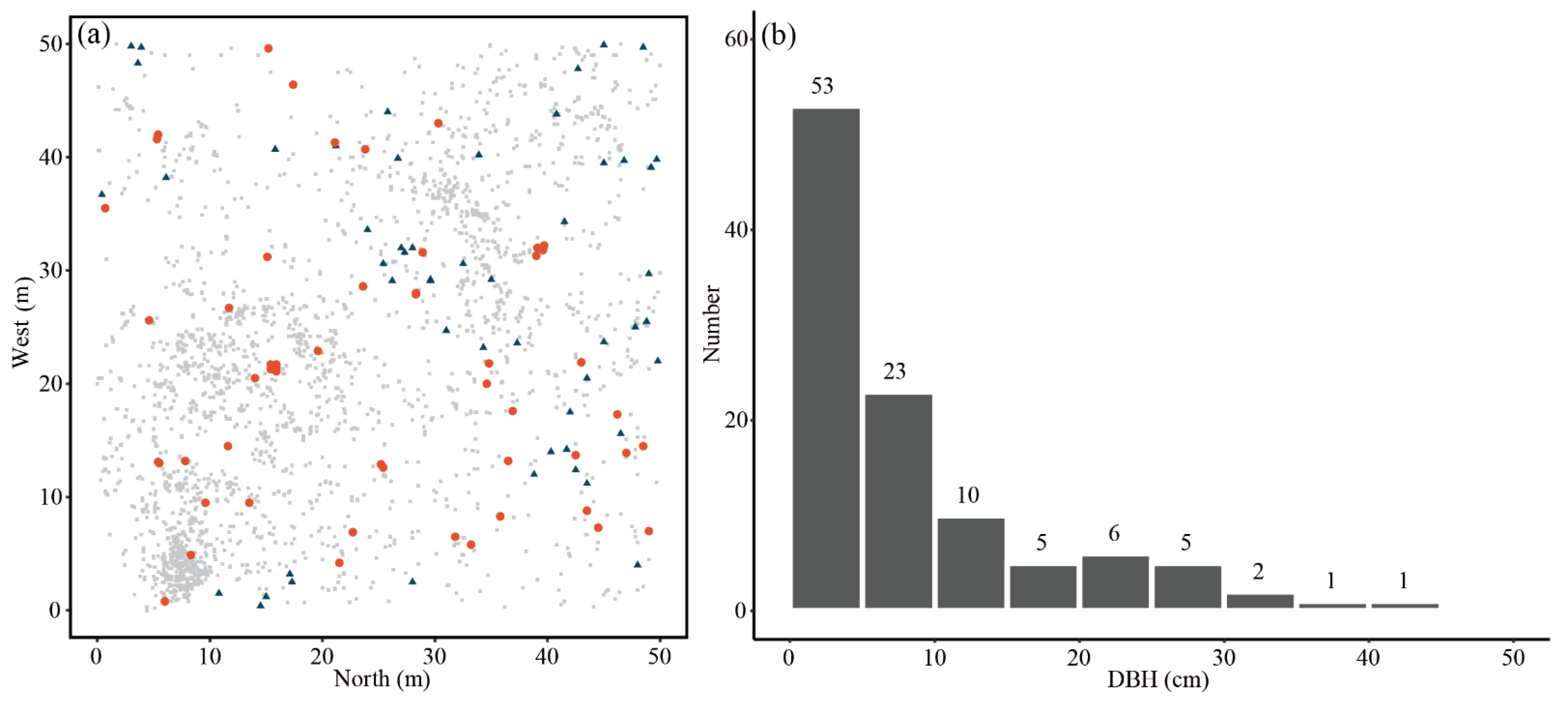 Forests 13 01375 g002