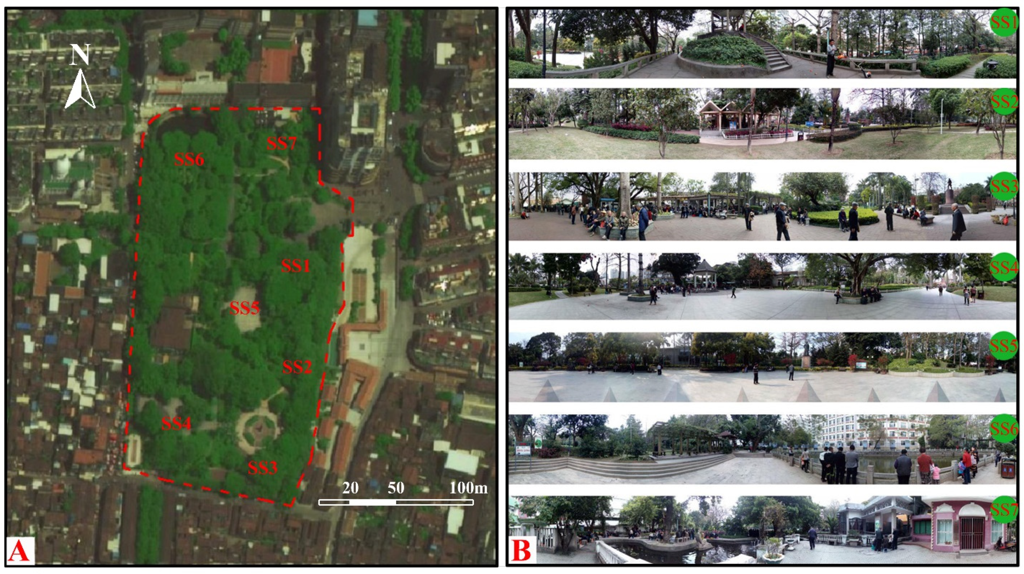 Forests 13 01376 g001