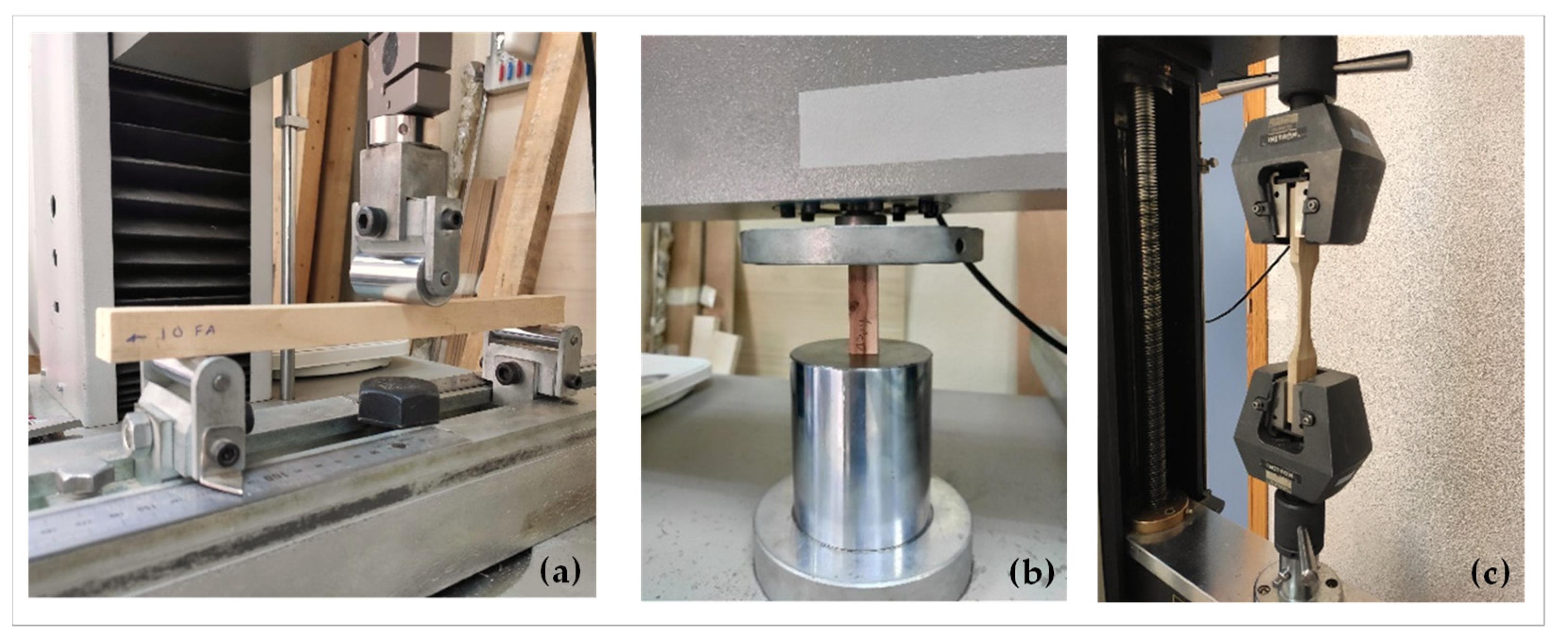 Forests 13 01381 g004