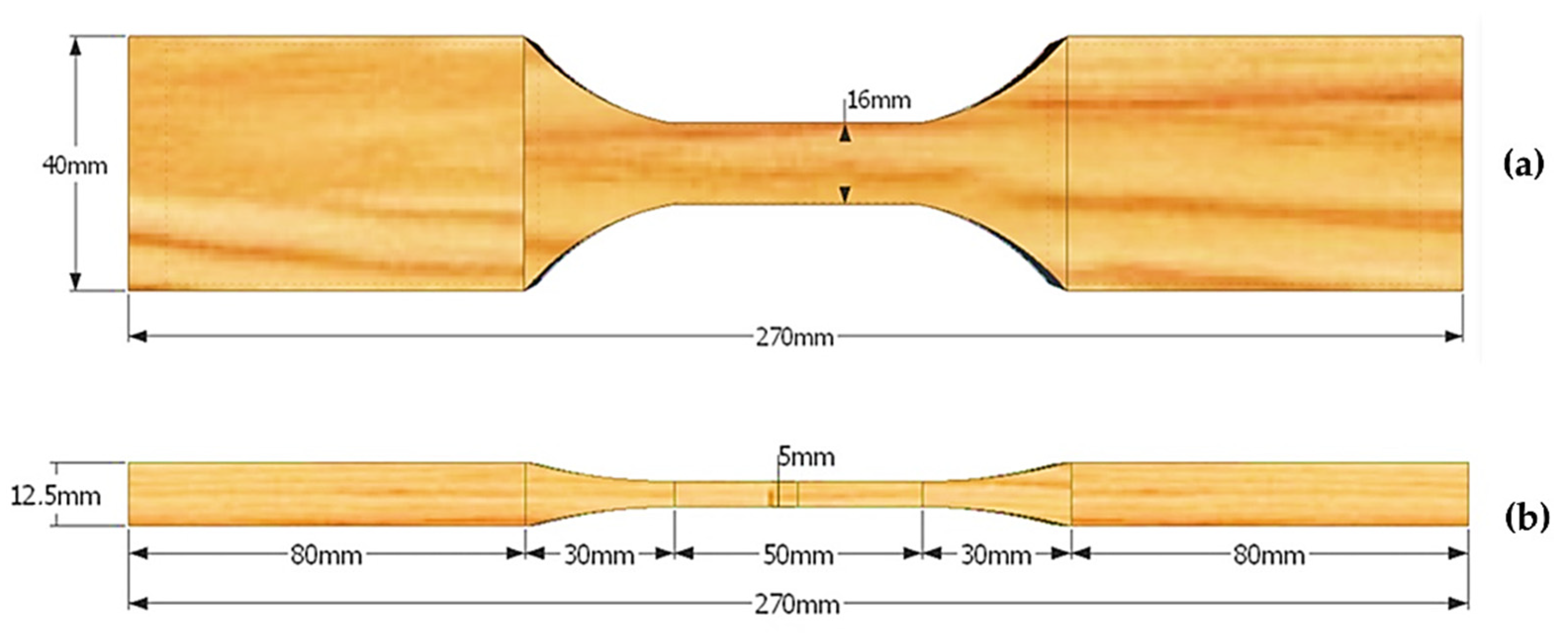 Forests 13 01381 g005