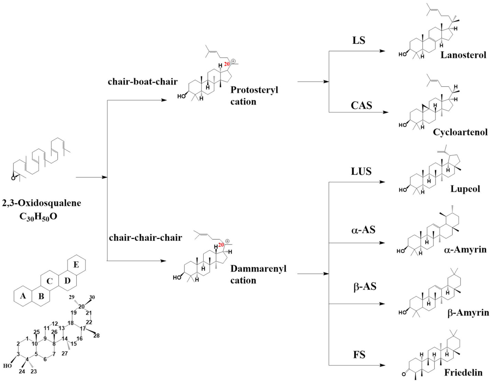 Forests 13 01382 g001