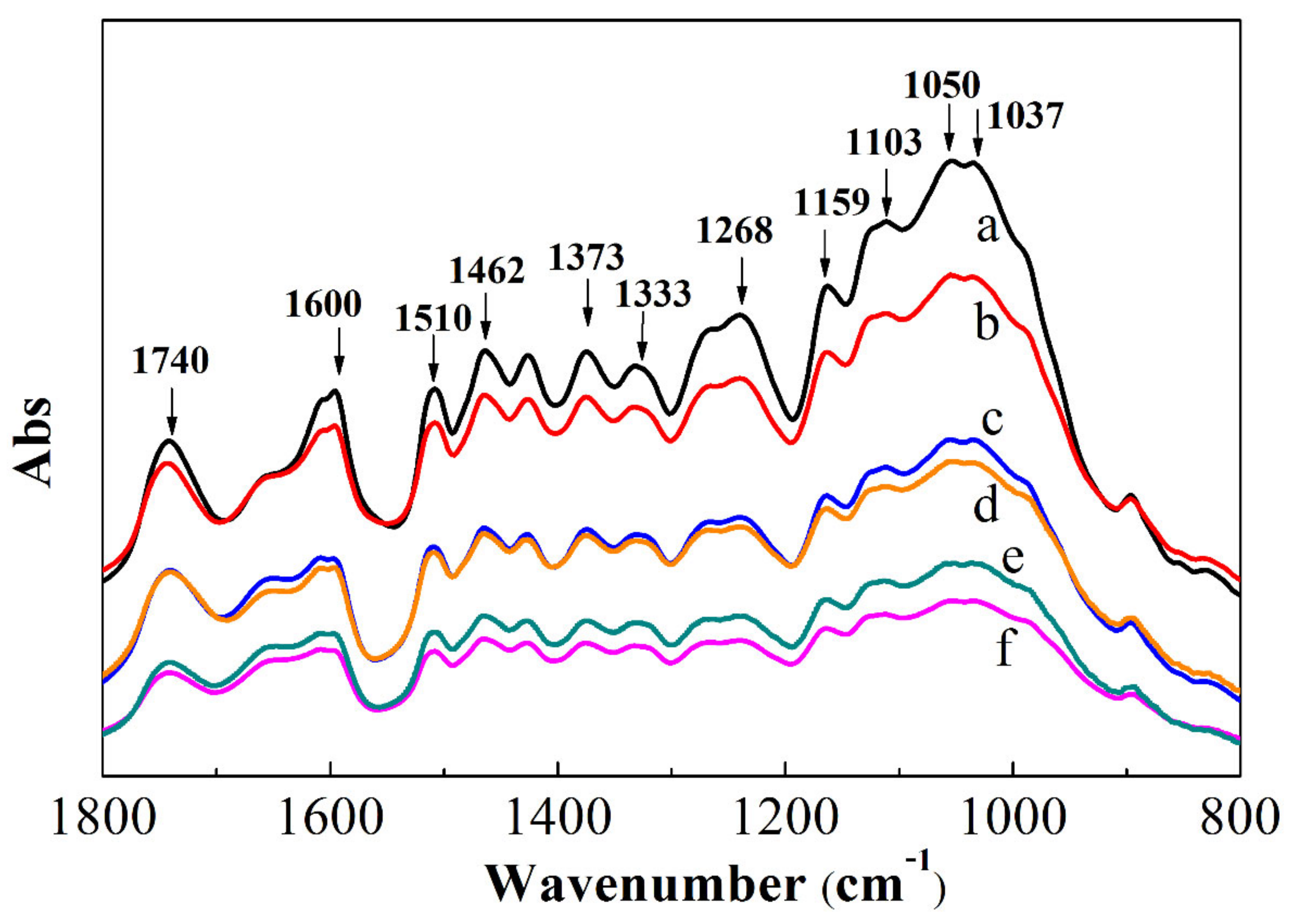 Forests 13 01387 g002
