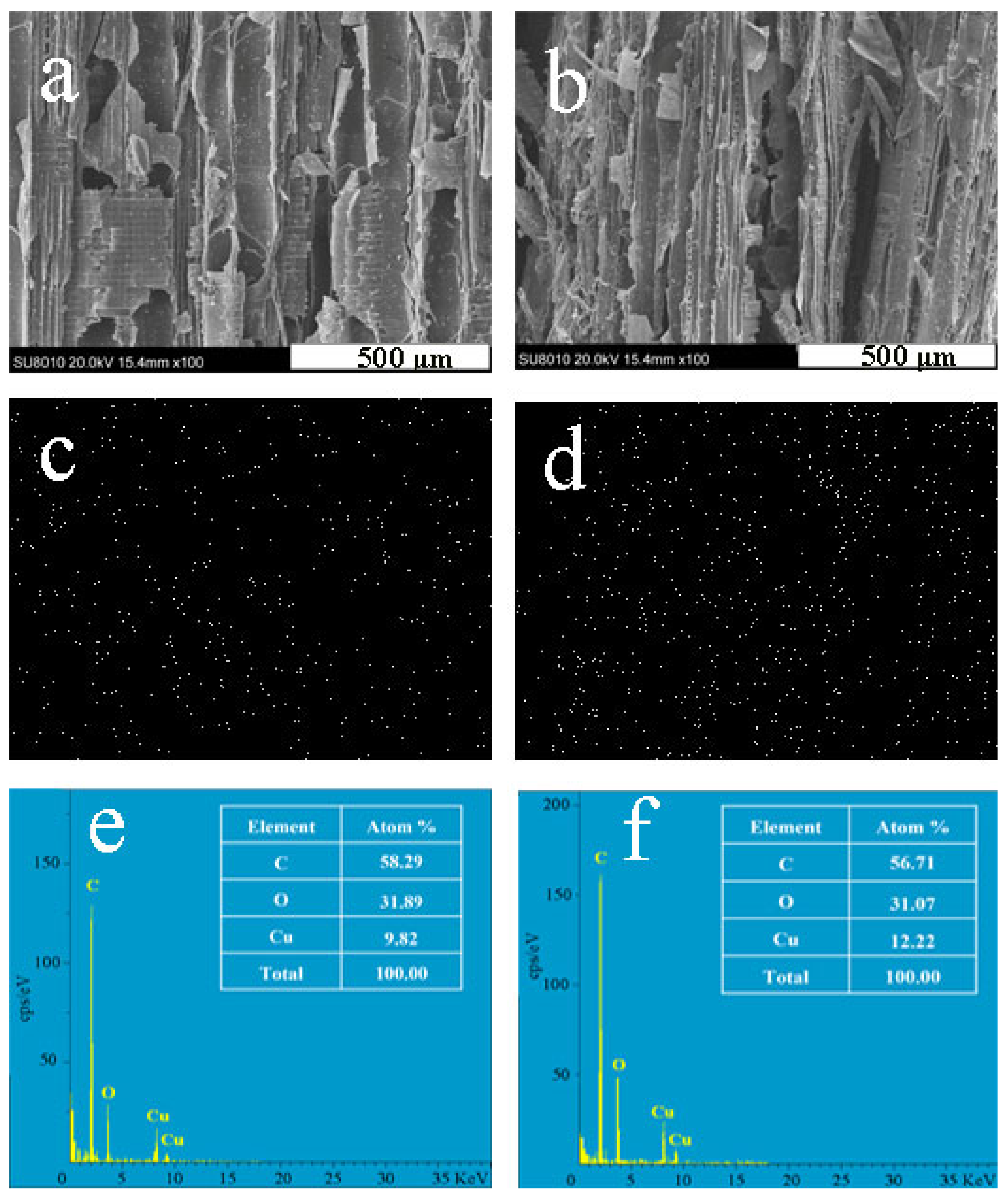 Forests 13 01387 g005
