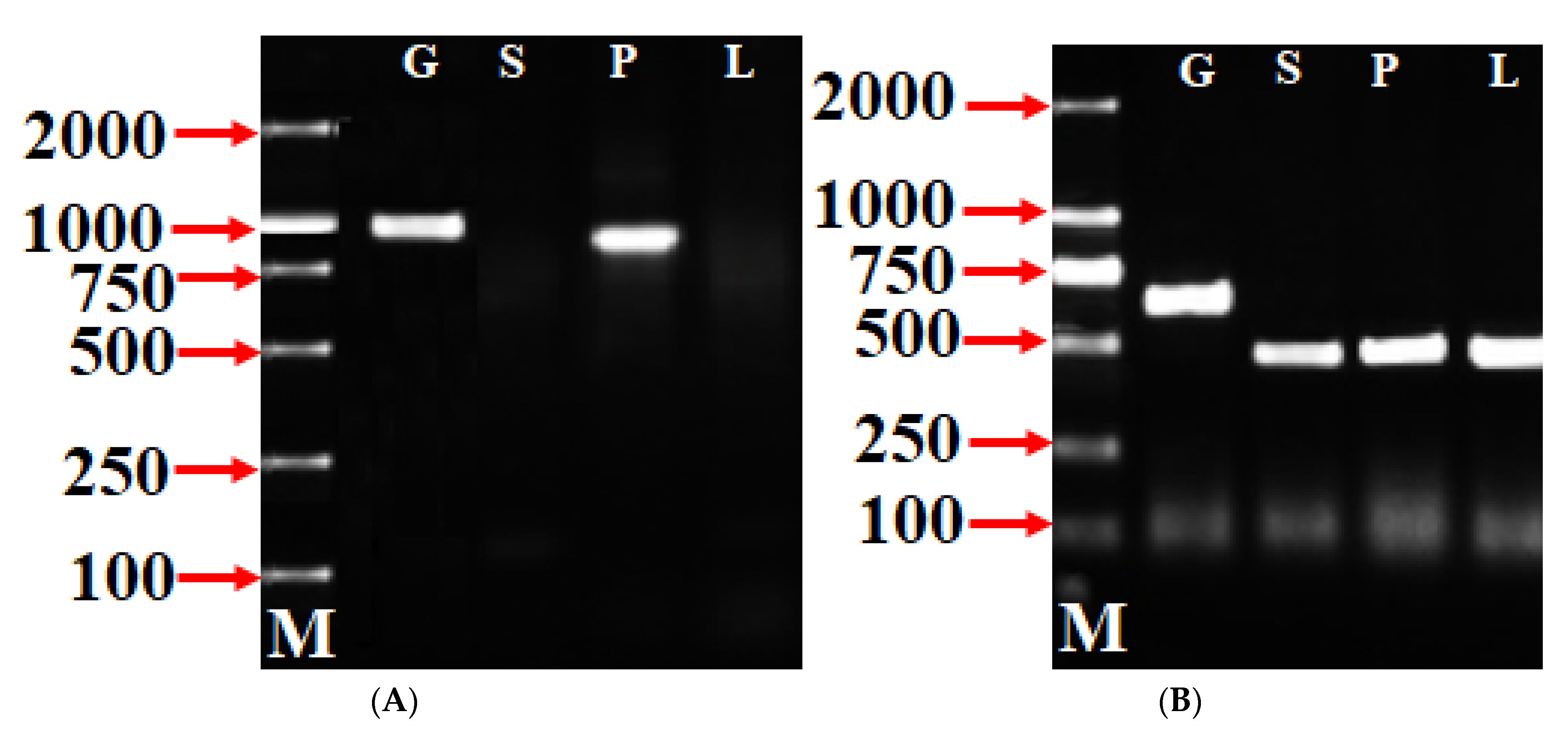 Forests 13 01388 g002