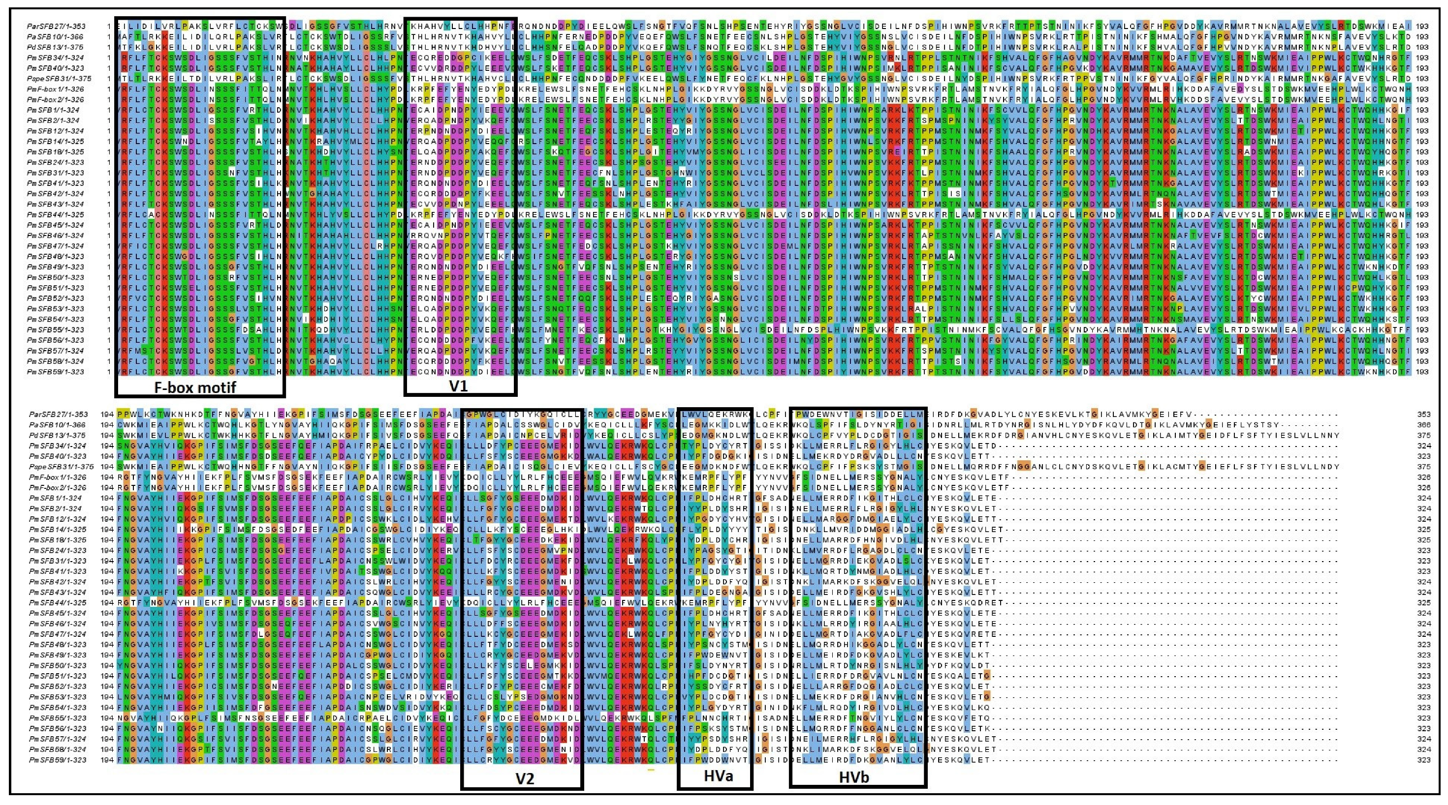 Forests 13 01388 g003