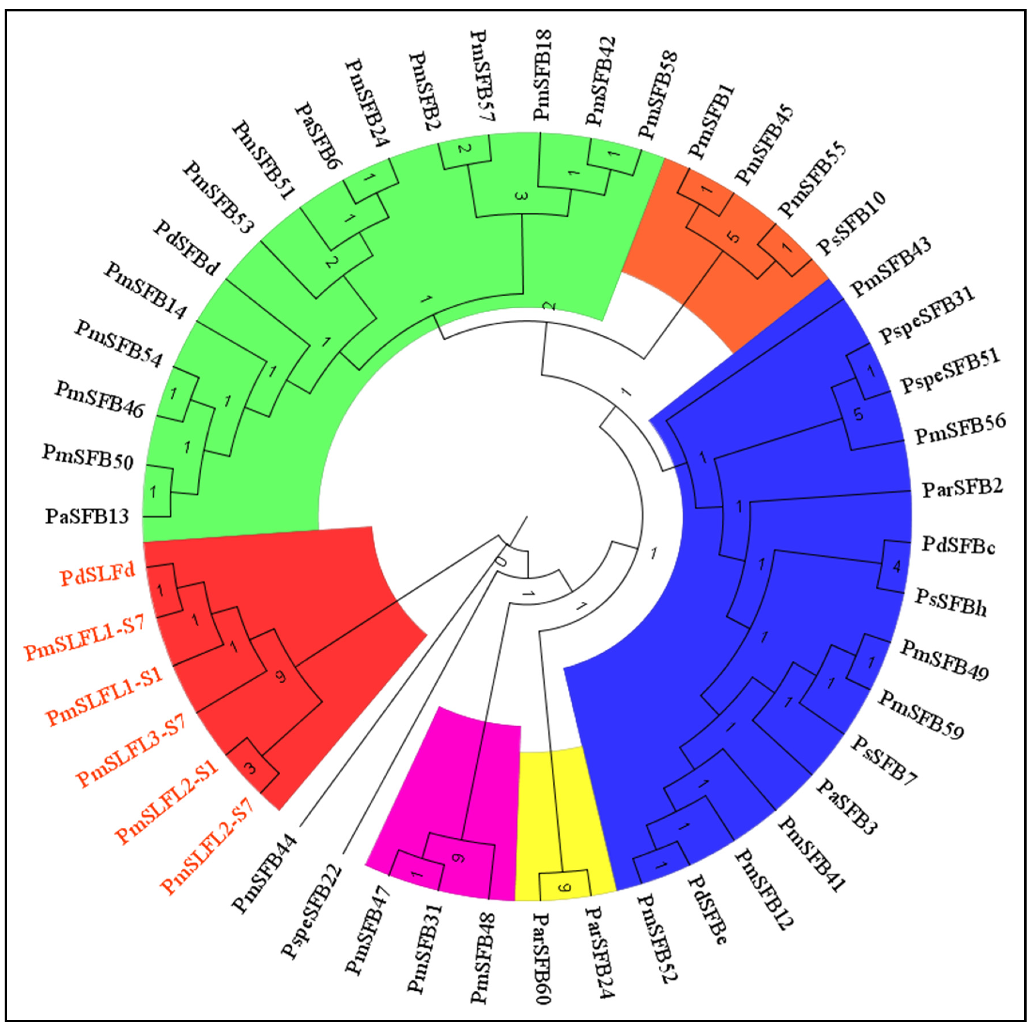 Forests 13 01388 g006