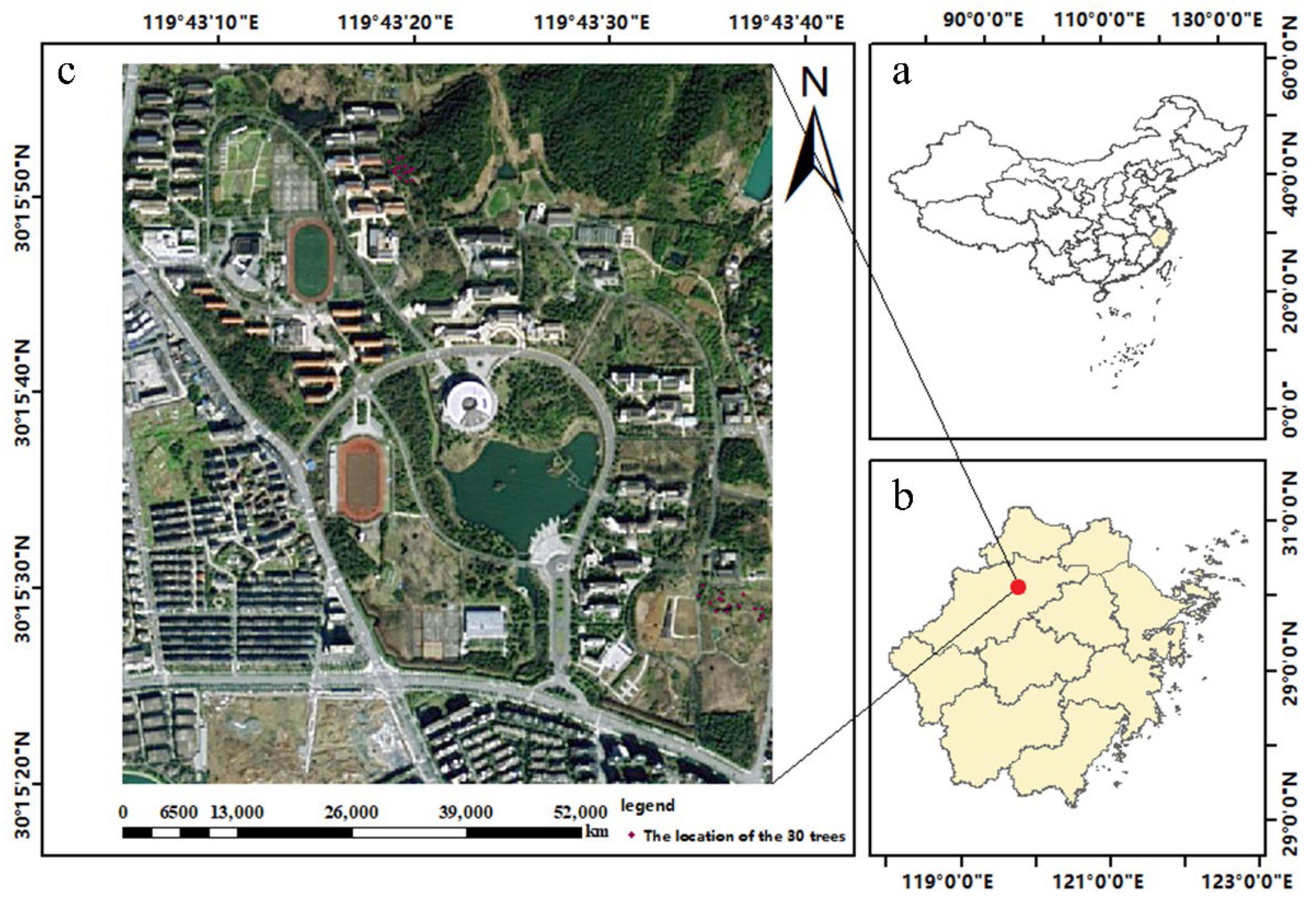 Forests 13 01389 g001