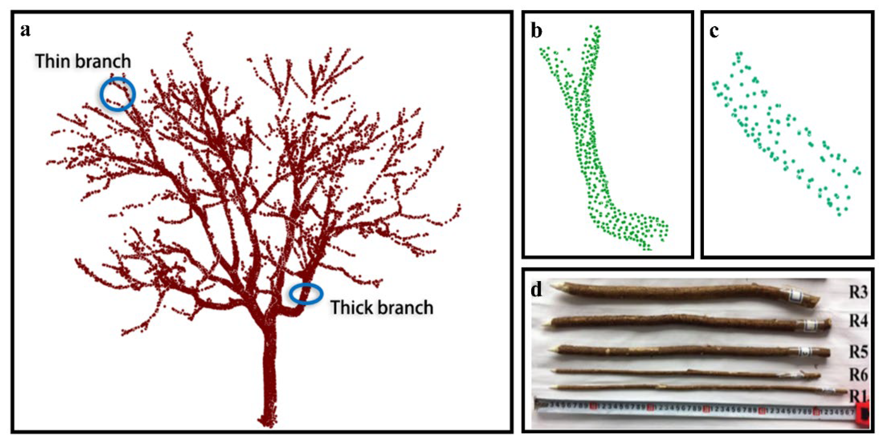 Forests 13 01389 g005
