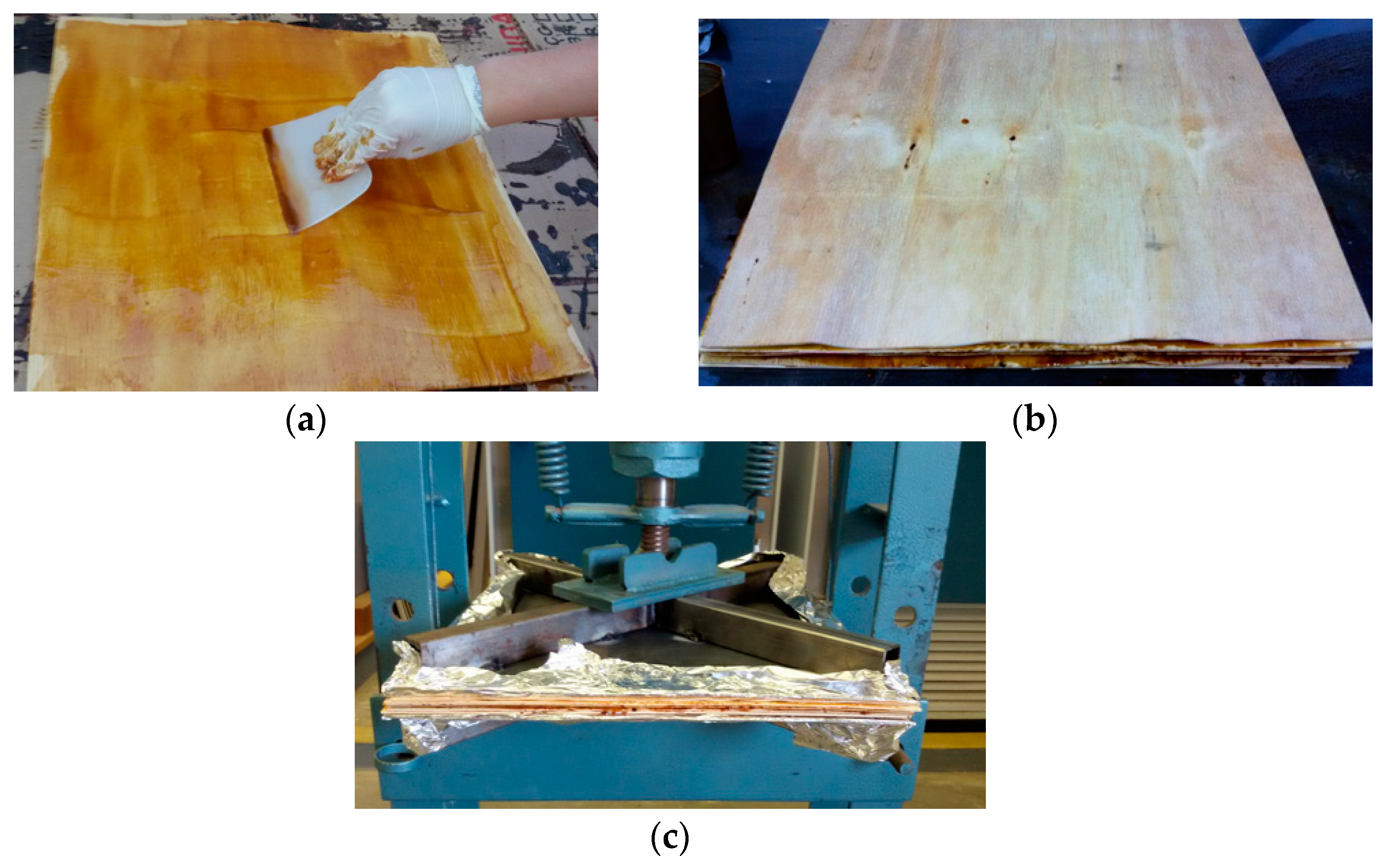 Forests 13 01398 g002