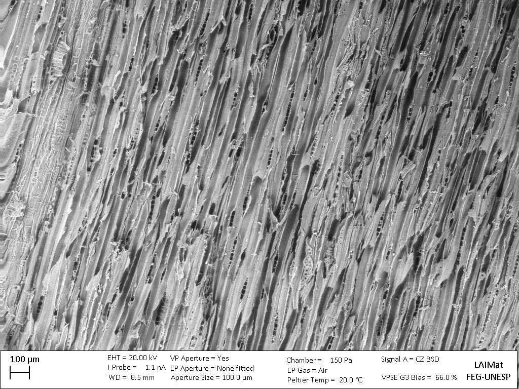 Forests 13 01398 g003