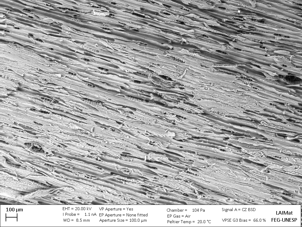 Forests 13 01398 g004