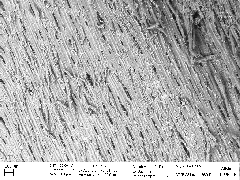 Forests 13 01398 g005