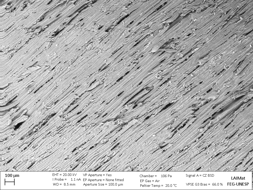 Forests 13 01398 g006