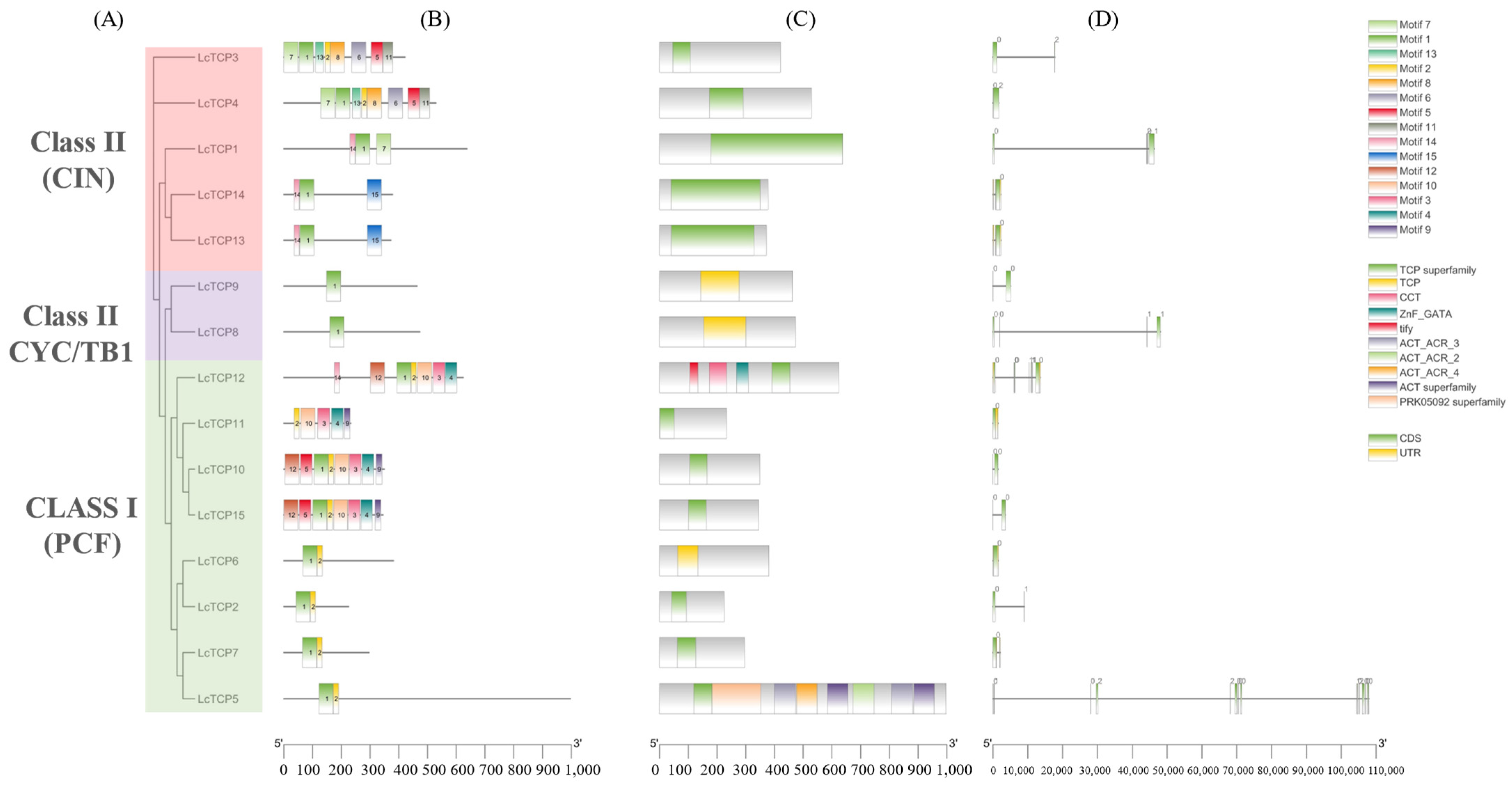 Forests 13 01401 g003